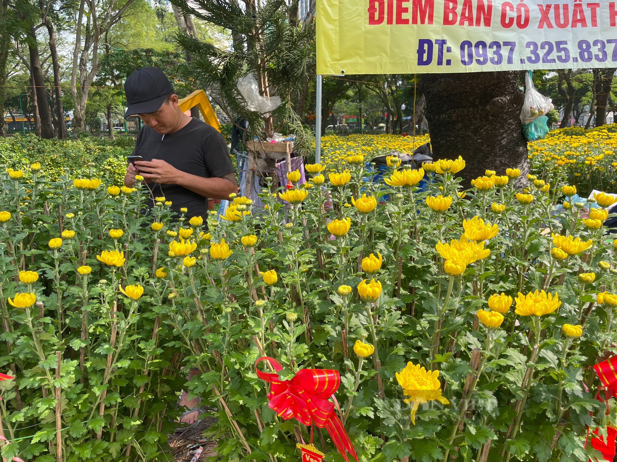 ẢNH: Hoa kiểng vừa xuống chợ hoa xuân, người Sài Gòn rinh về chơi Tết sớm - Ảnh 6.