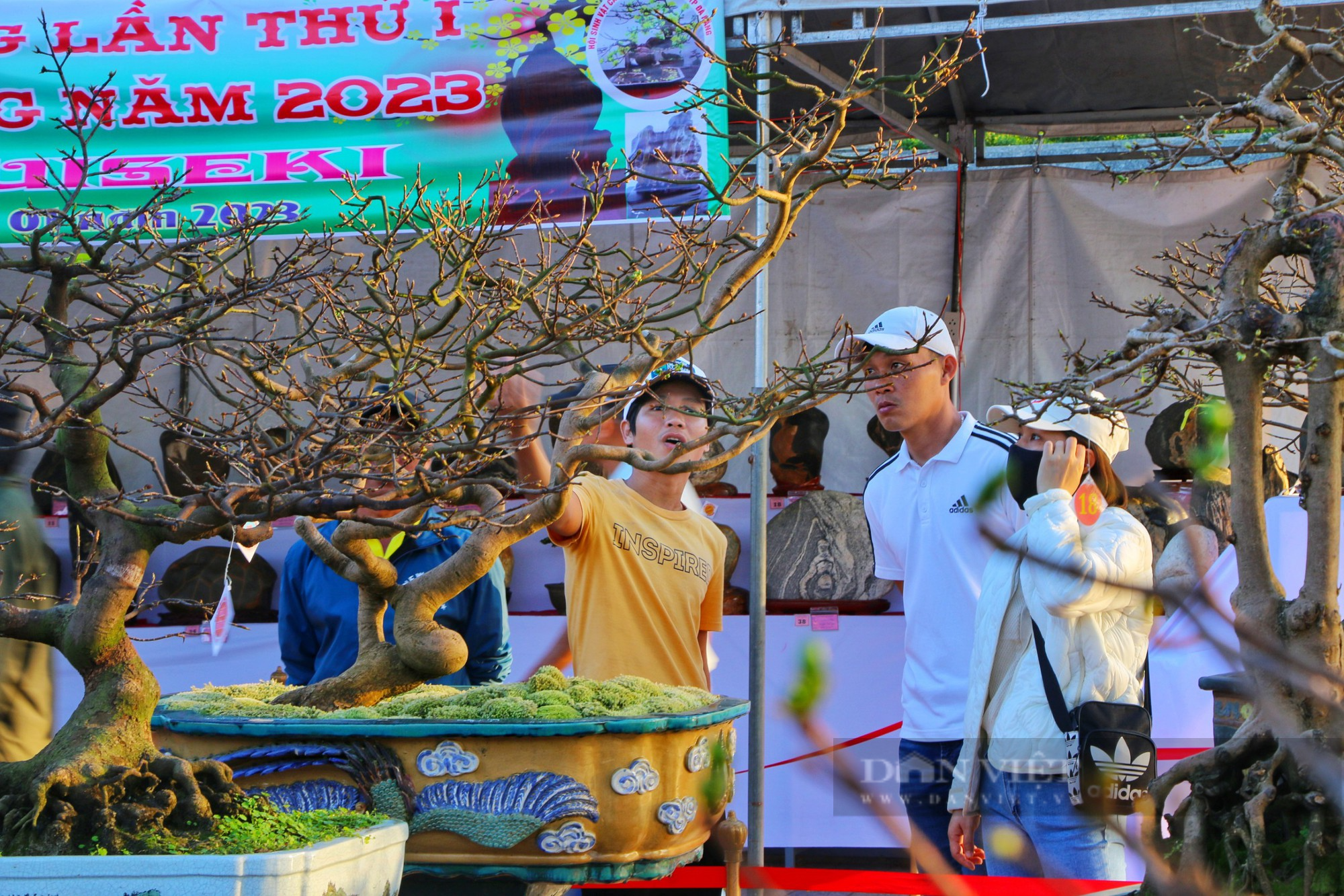 &quot;Mai tuyển&quot; trăm triệu khoe sắc tại Đà Nẵng - Ảnh 6.