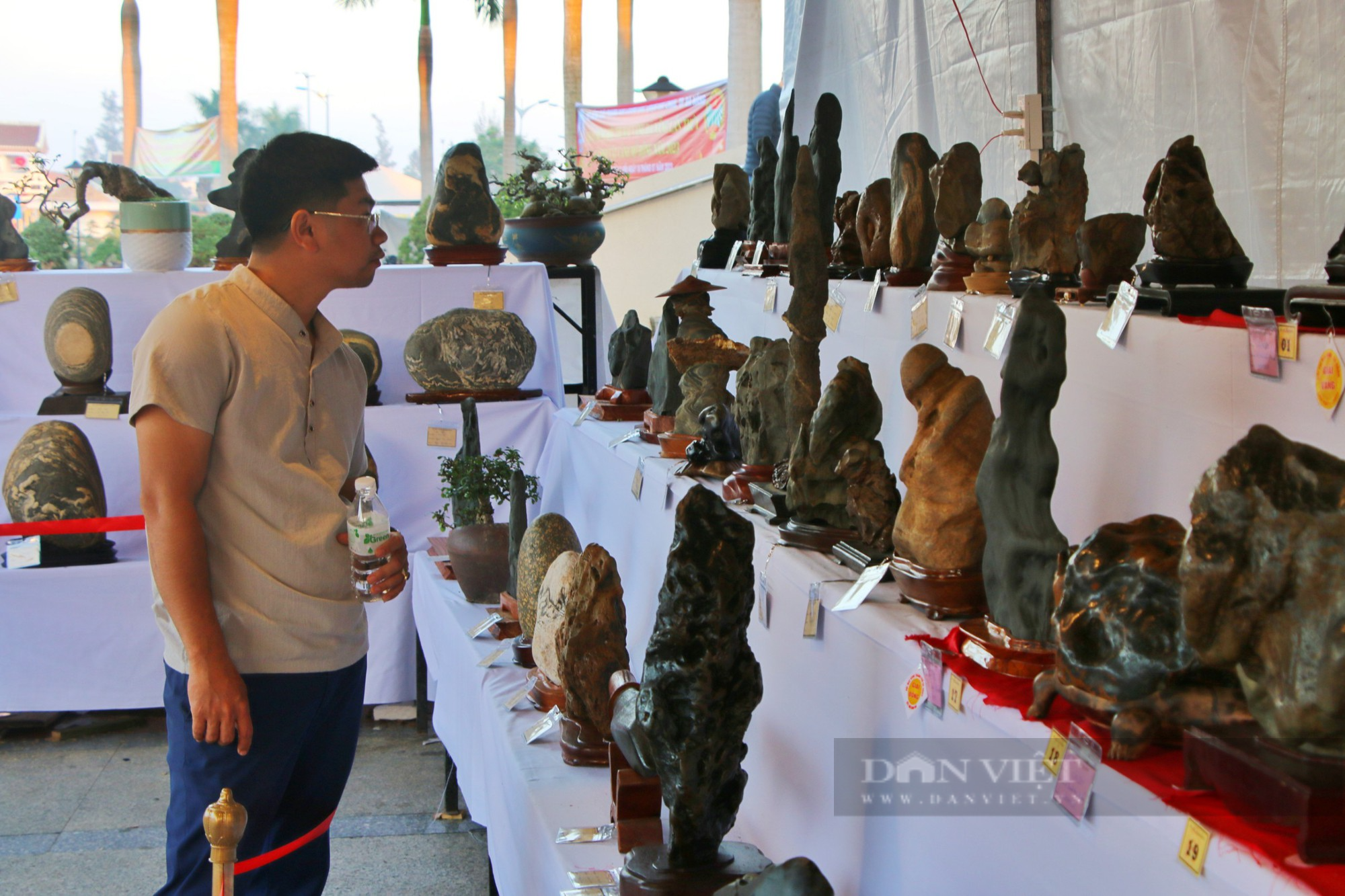 &quot;Mai tuyển&quot; trăm triệu khoe sắc tại Đà Nẵng - Ảnh 11.