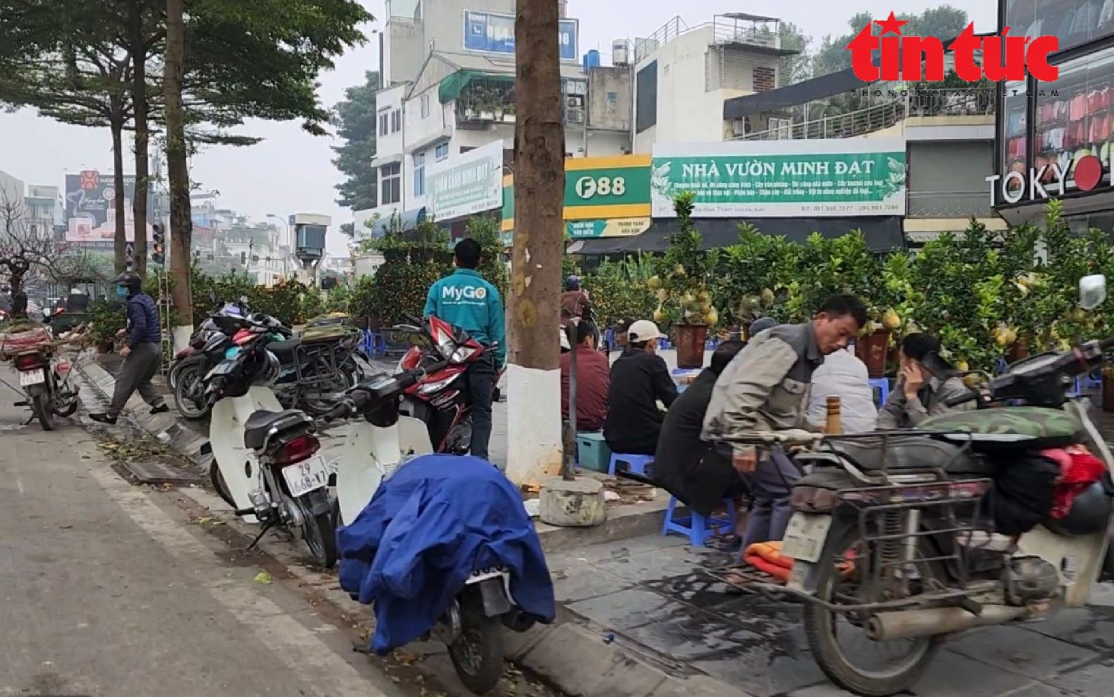 Nhếch nhác phố kiểu mẫu biến thành chợ - Ảnh 8.