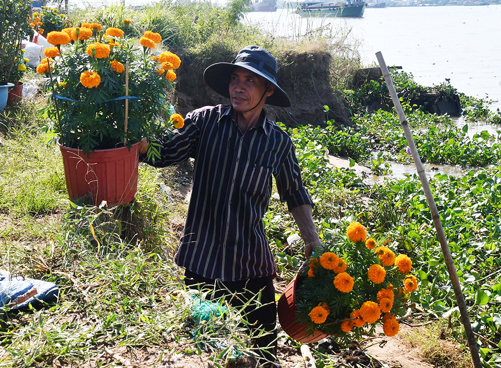 Thuyền hoa về phố - Ảnh 2.