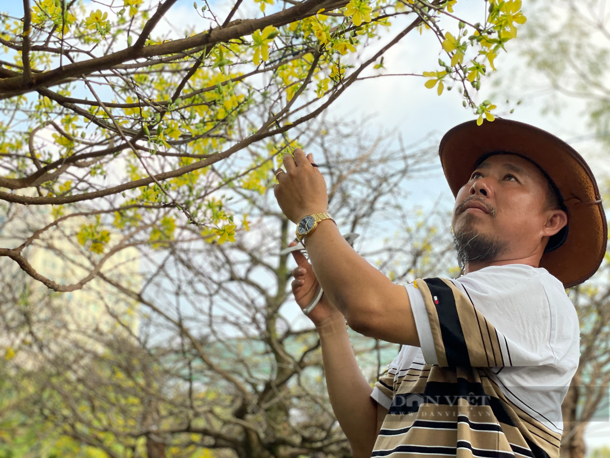 Hết hồn cây mai 4 tỷ ở chợ hoa nhà giàu Sài Gòn, chủ nhân khẳng định “siêu phẩm” mới có giá đó - Ảnh 4.