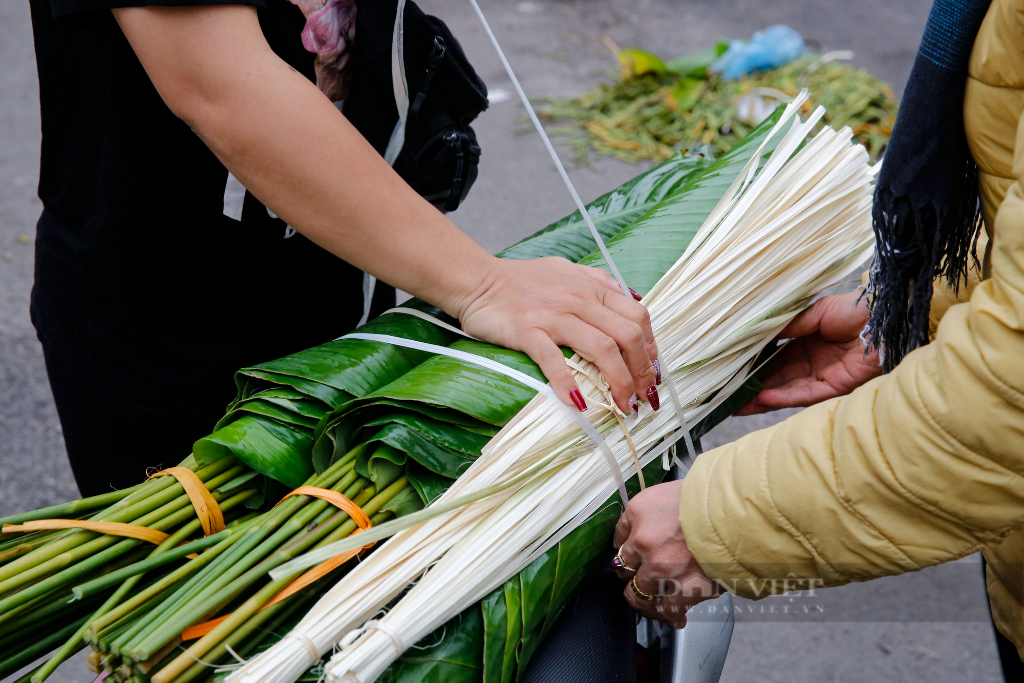 Chợ lá dong gói bánh chưng lâu đời nhất Hà Nội nhộn nhịp trước Tết  - Ảnh 5.