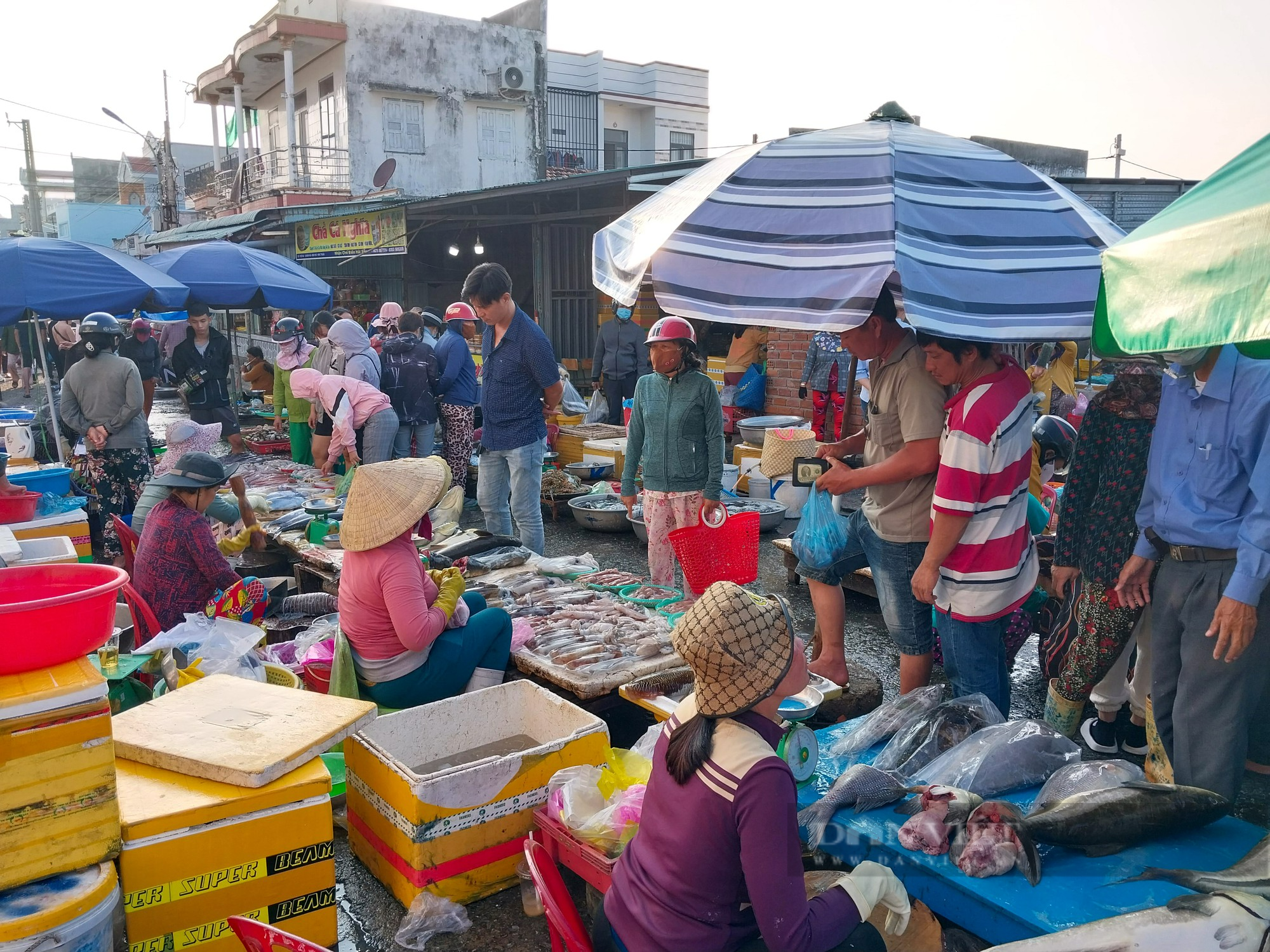 Nhộn nhịp chợ hải sản lớn nhất Ninh Thuận ngày cần Tết  - Ảnh 1.