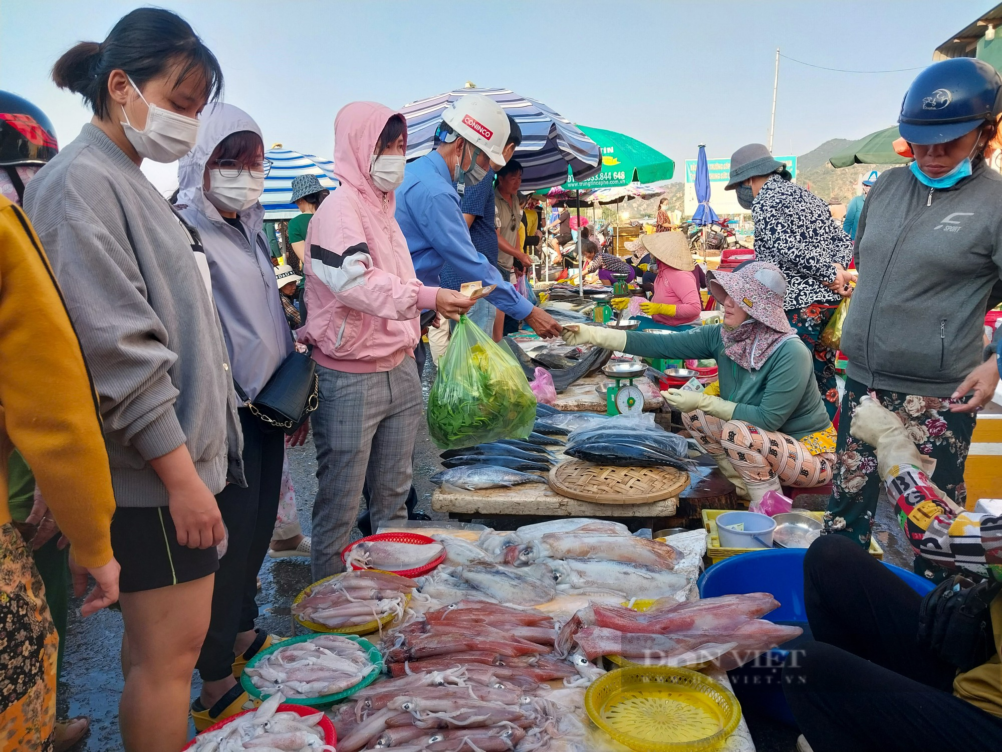 Nhộn nhịp chợ hải sản lớn nhất Ninh Thuận ngày cần Tết  - Ảnh 3.