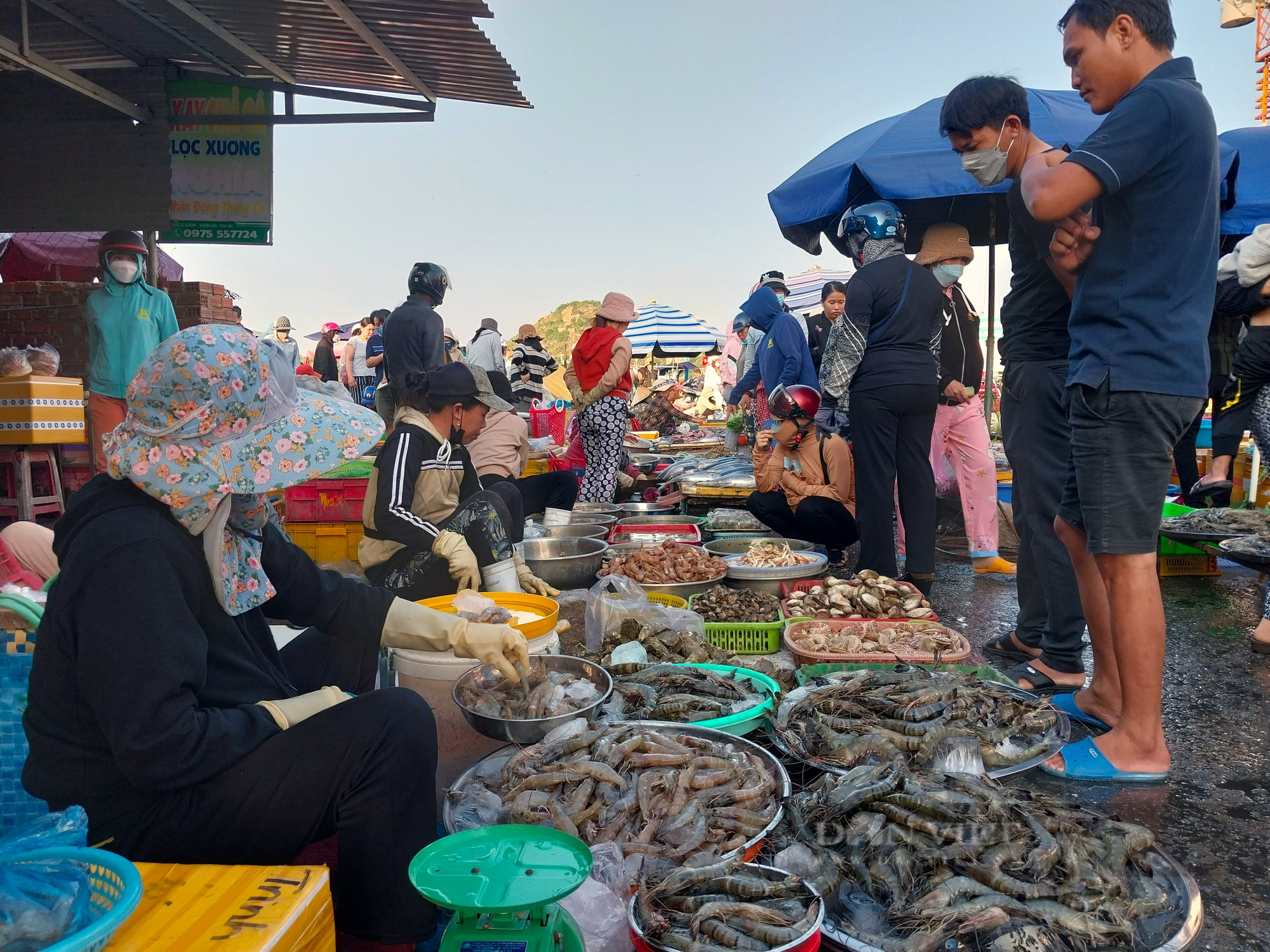 Nhộn nhịp chợ hải sản lớn nhất Ninh Thuận ngày cần Tết  - Ảnh 6.