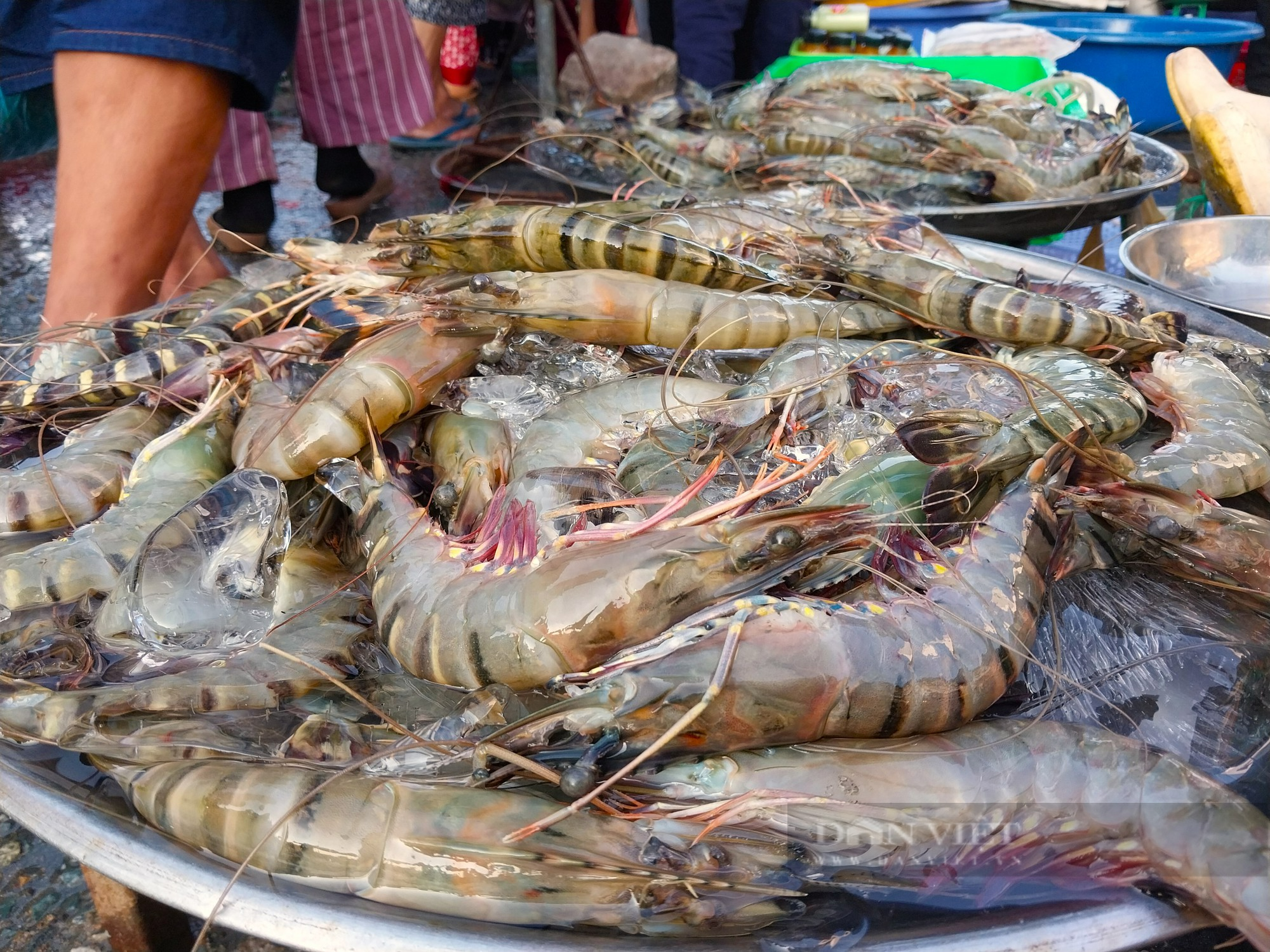 Nhộn nhịp chợ hải sản lớn nhất Ninh Thuận ngày cần Tết  - Ảnh 7.