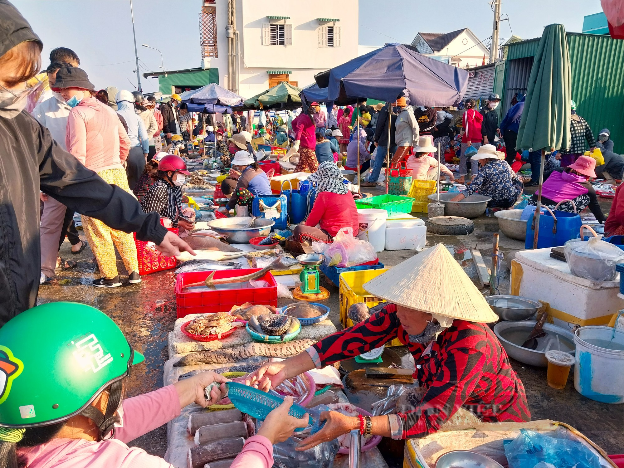 Nhộn nhịp chợ hải sản lớn nhất Ninh Thuận ngày cần Tết  - Ảnh 8.