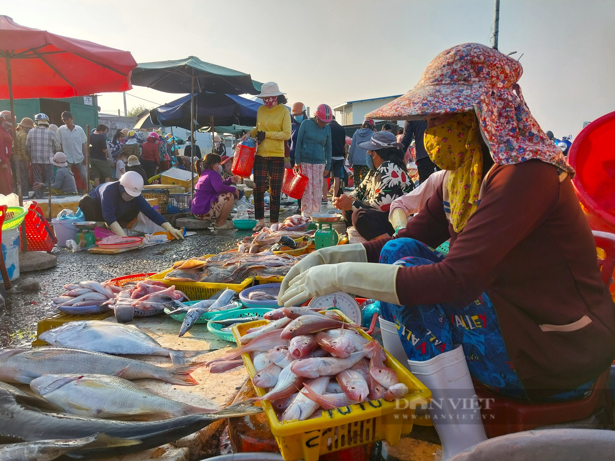 Nhộn nhịp chợ hải sản lớn nhất Ninh Thuận ngày cần Tết  - Ảnh 9.