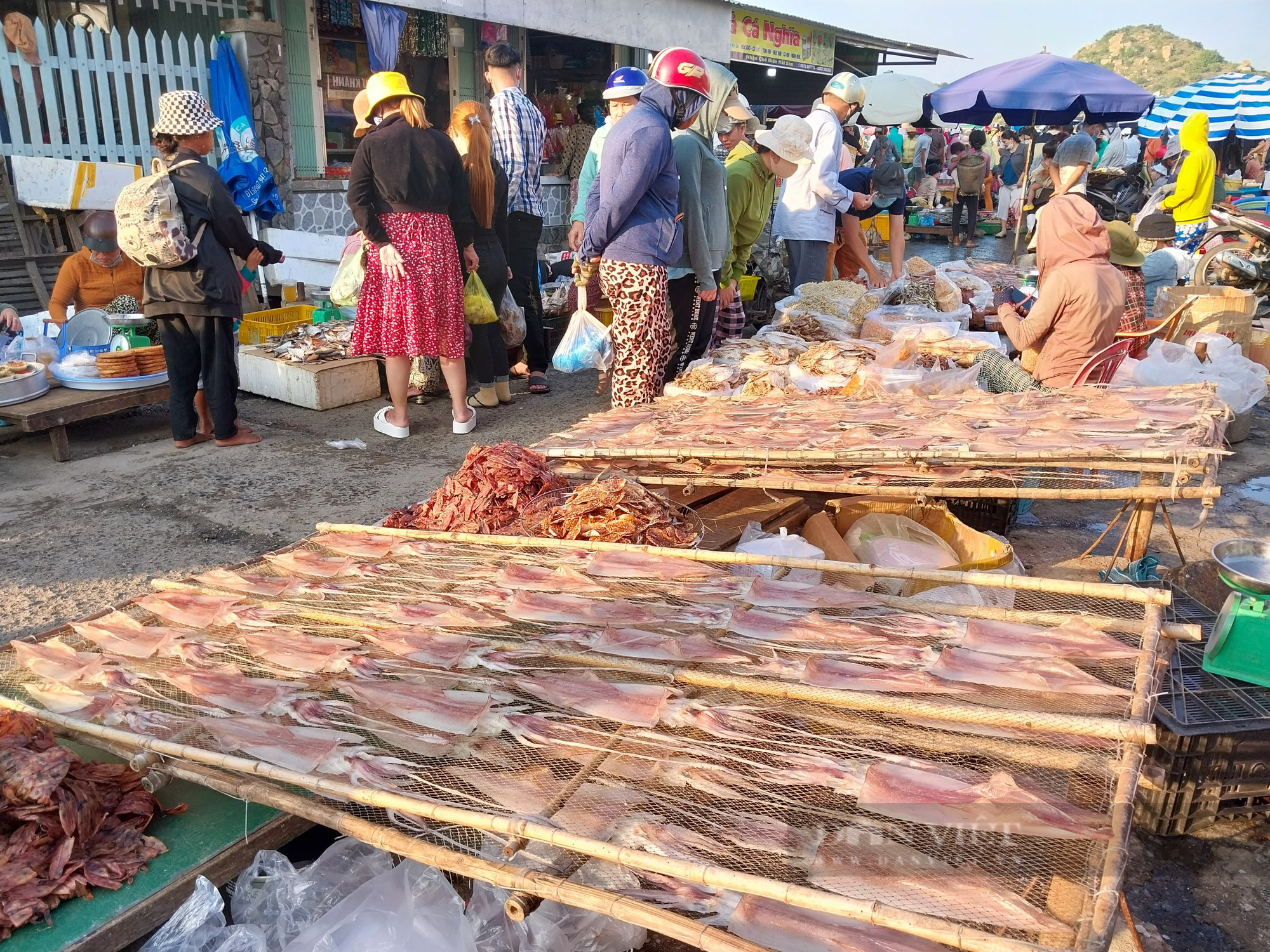Nhộn nhịp chợ hải sản lớn nhất Ninh Thuận ngày cần Tết  - Ảnh 12.