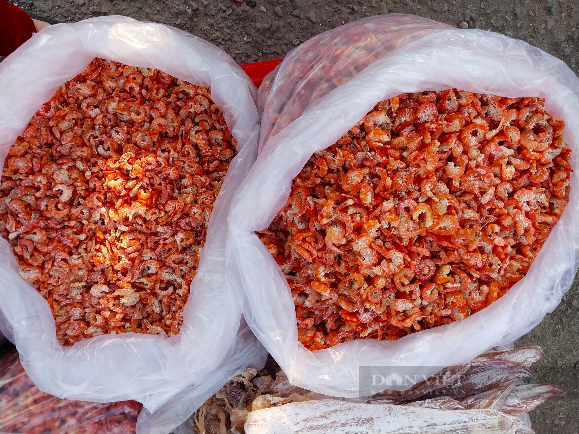 Nhộn nhịp chợ hải sản lớn nhất Ninh Thuận ngày cần Tết  - Ảnh 13.