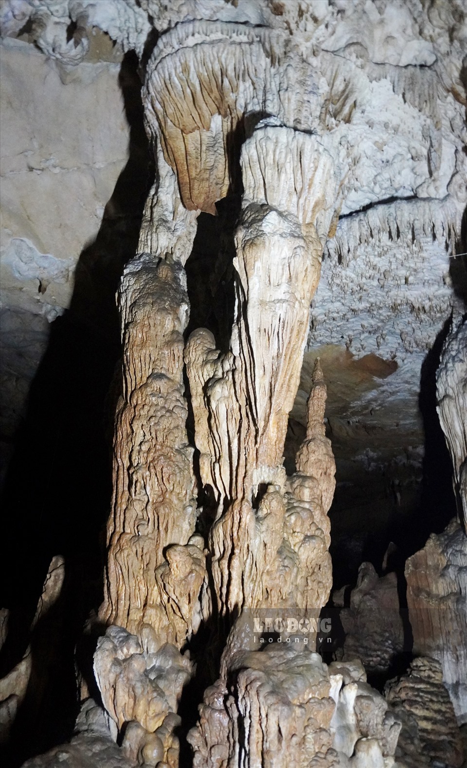 Đây là hang động đẹp ngỡ ngàng nhất ở tỉnh Thanh Hóa, ví như &quot;hang Sơn Đoòng thứ 2 của Việt Nam&quot; - Ảnh 11.