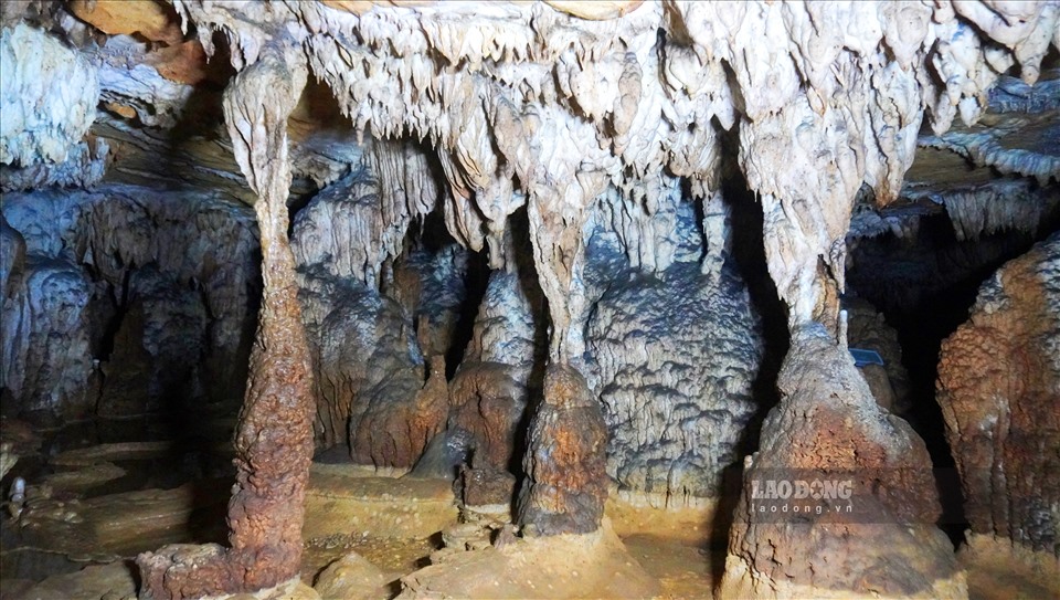 Đây là hang động đẹp ngỡ ngàng nhất ở tỉnh Thanh Hóa, ví như &quot;hang Sơn Đoòng thứ 2 của Việt Nam&quot; - Ảnh 6.