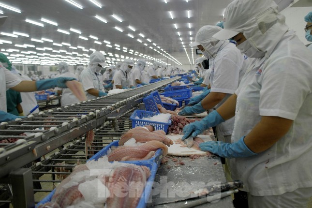 Việt Nam lọt top 3 nước xuất khẩu thủy sản lớn nhất thế giới - Ảnh 2.