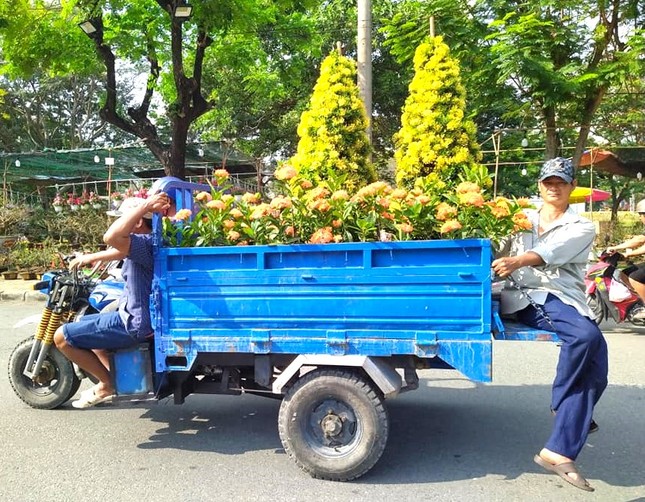 Hoa Tết TPHCM mỏi mòn đợi khách trưa 25 tháng Chạp - Ảnh 10.