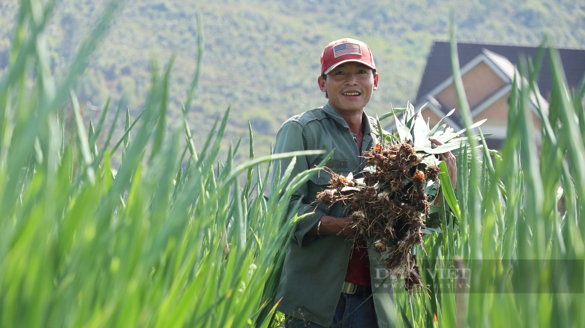 Vựa hoa lay ơn lớn nhất nước tấp nập những ngày cuối năm - Ảnh 5.