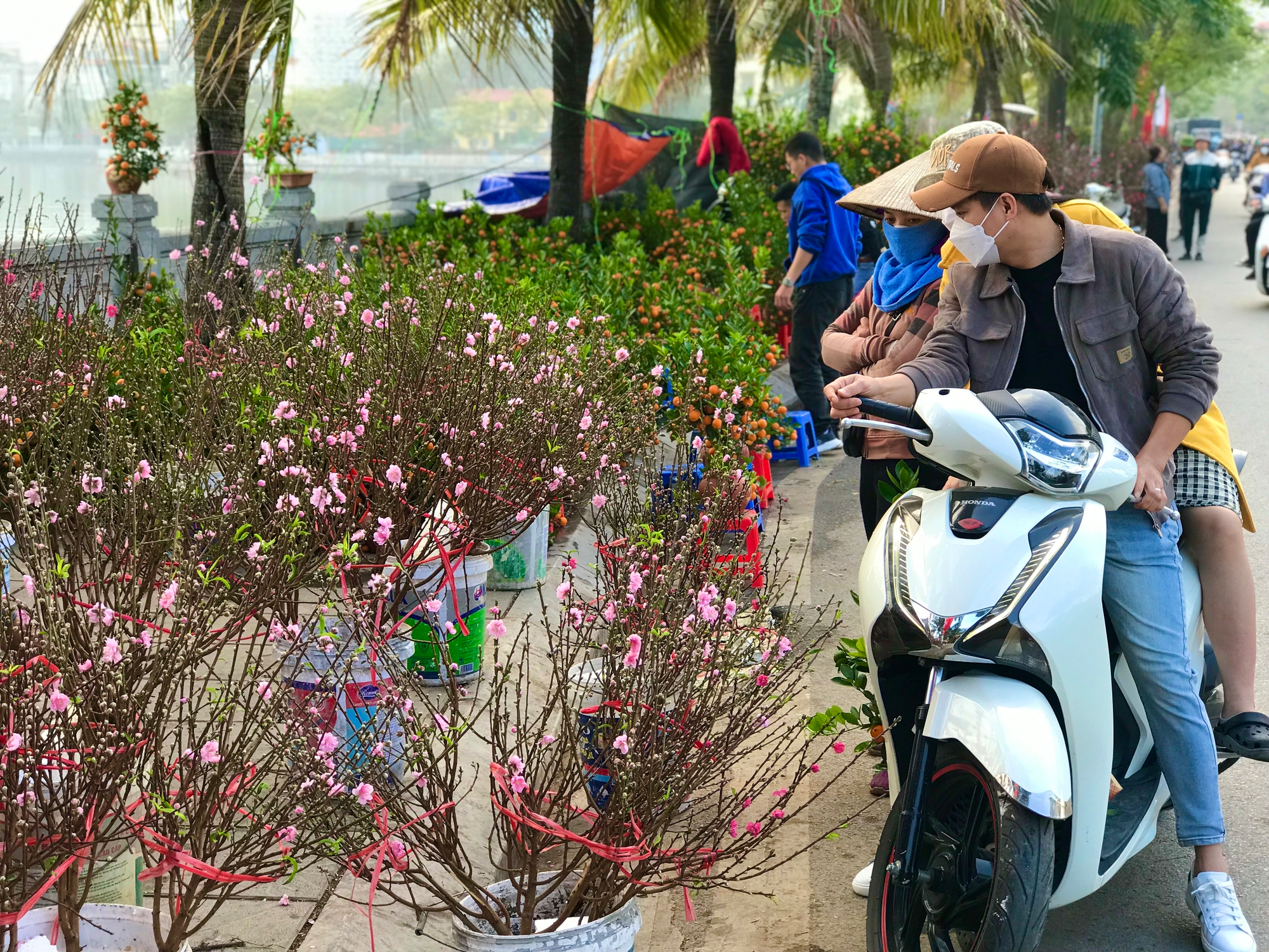 Sắc hoa nở rực trên con đường hoa sầm uất nhất Hà Nội - Ảnh 7.