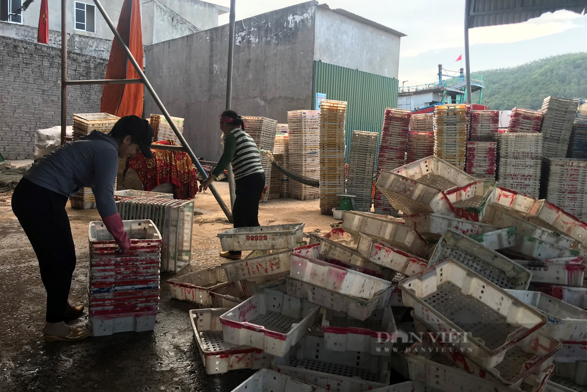 Năm mới nghe những nông dân sản xuất kinh doanh giỏi ở Nghệ An kể cách làm giàu - Ảnh 5.