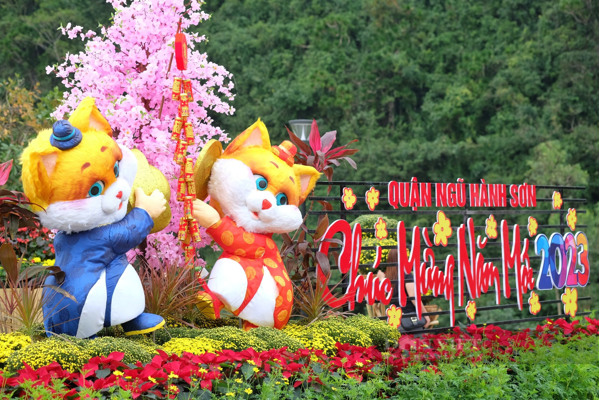 Thích thú check-in vườn hoa dưới chân núi Ngũ Hành Sơn - Ảnh 1.