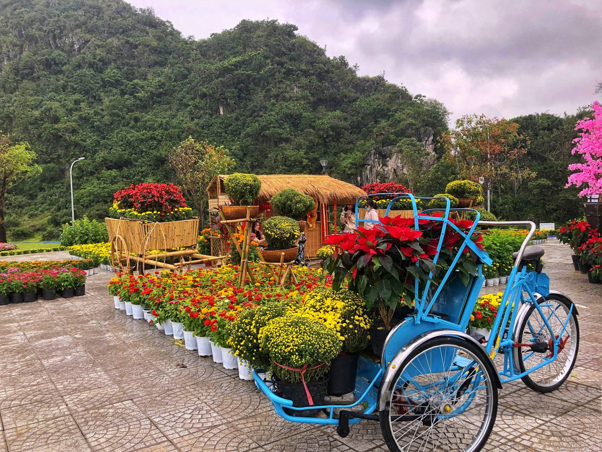 Thích thú check-in vườn hoa dưới chân núi Ngũ Hành Sơn - Ảnh 2.