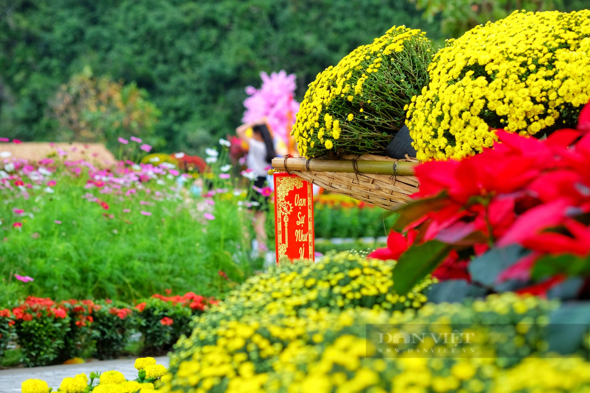 Thích thú check-in vườn hoa dưới chân núi Ngũ Hành Sơn - Ảnh 4.