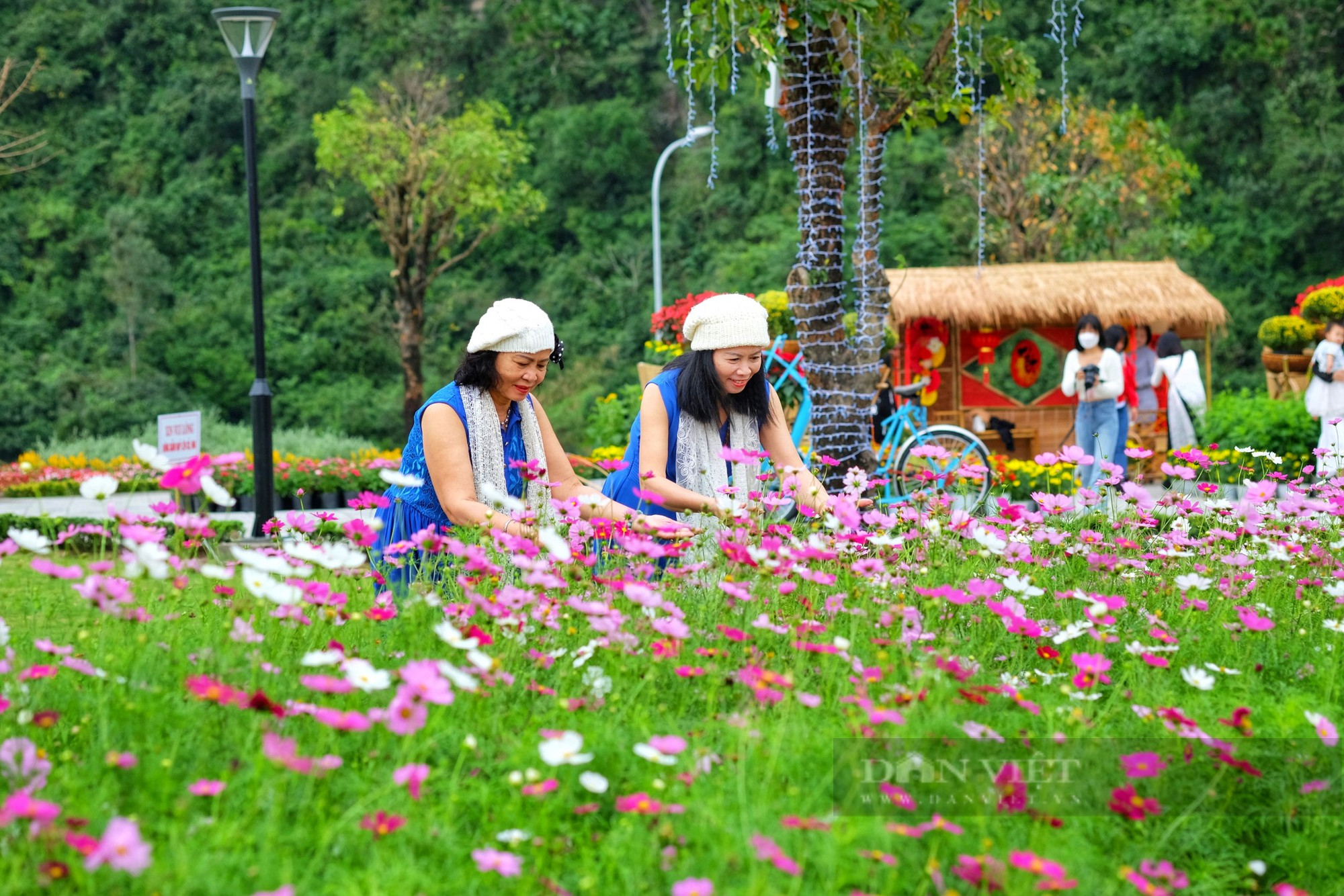 Thích thú check-in vườn hoa dưới chân núi Ngũ Hành Sơn - Ảnh 5.