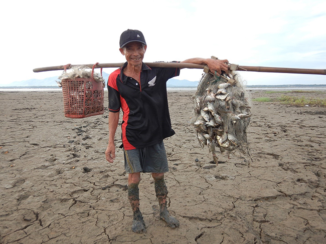 Đây là loài cá dân bắt được nhiều nhất tại đầm nước tự nhiên rộng 13.000ha ở Bình Định, dính lưới gỡ mỏi tay - Ảnh 3.