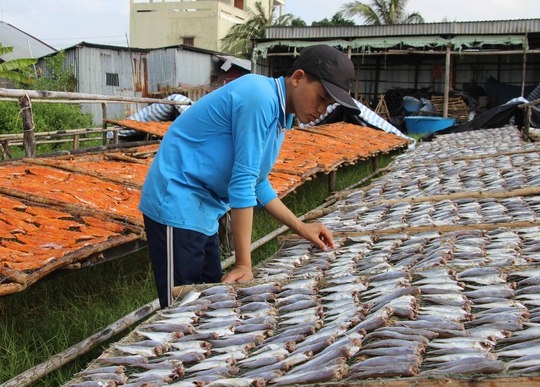 Đặc sản ở Cà Mau chạy đua để kịp phục vụ Tết - Ảnh 2.