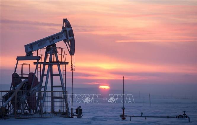 Thu ngân sách từ dầu khí của Nga năm 2022 tăng hơn 36 tỷ USD - Ảnh 1.
