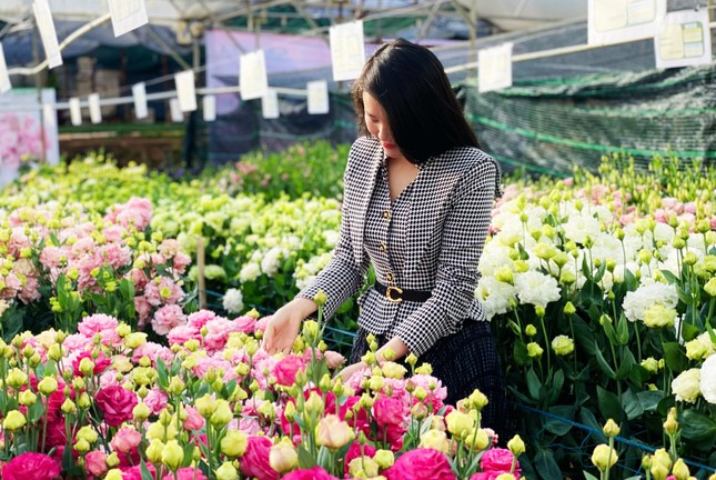 Hoa đẹp, giá không tăng ở thủ phủ Đà Lạt - Ảnh 4.