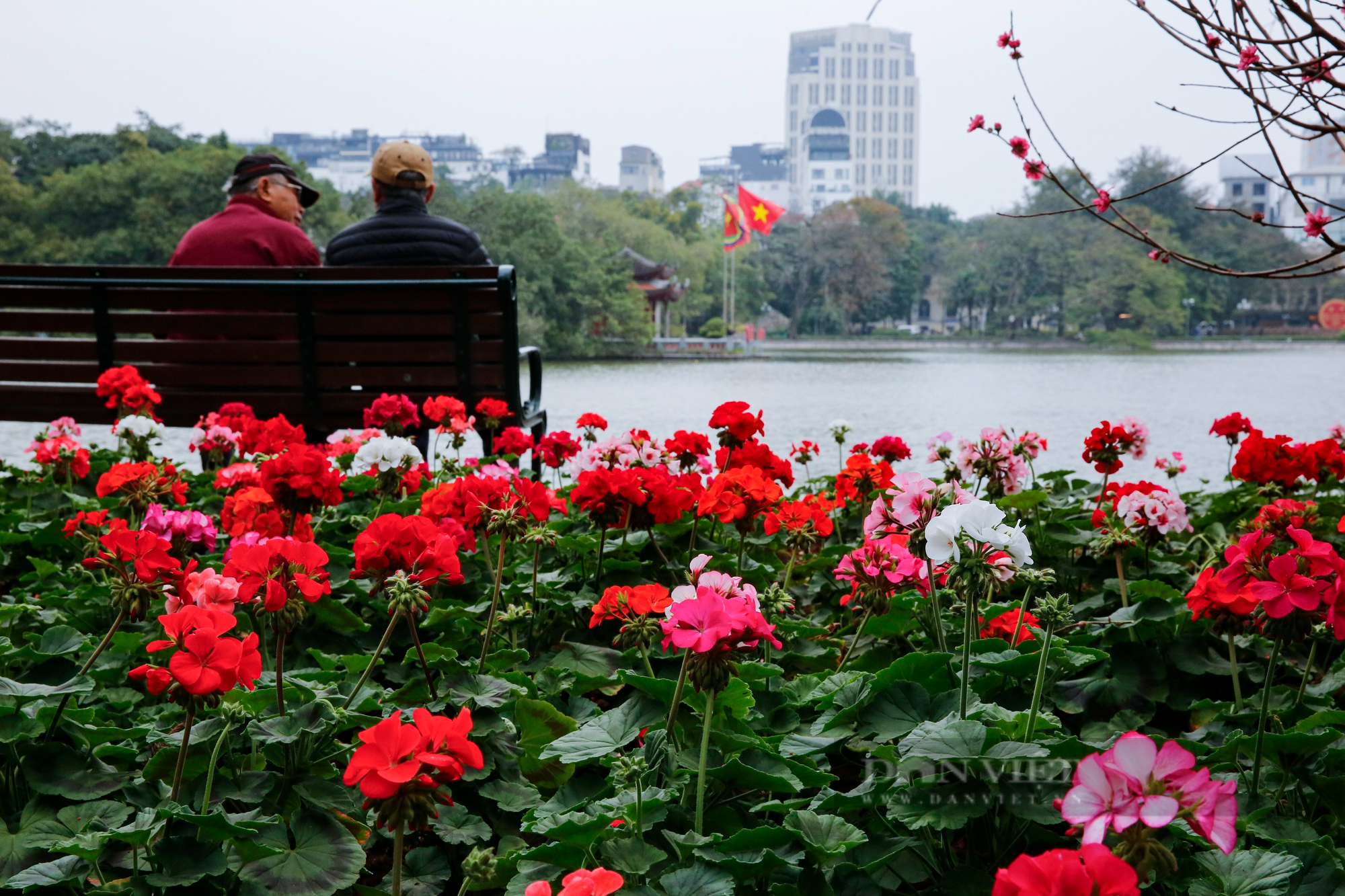 Linh vật mèo Tết Quý Mão và nhiều cụm trang trí hoa rực rỡ xuất hiện tại hồ Gươm - Ảnh 3.