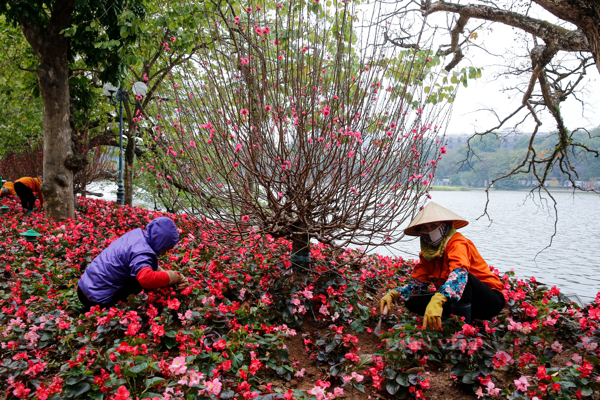 Linh vật mèo Tết Quý Mão và nhiều cụm trang trí hoa rực rỡ xuất hiện tại hồ Gươm - Ảnh 8.