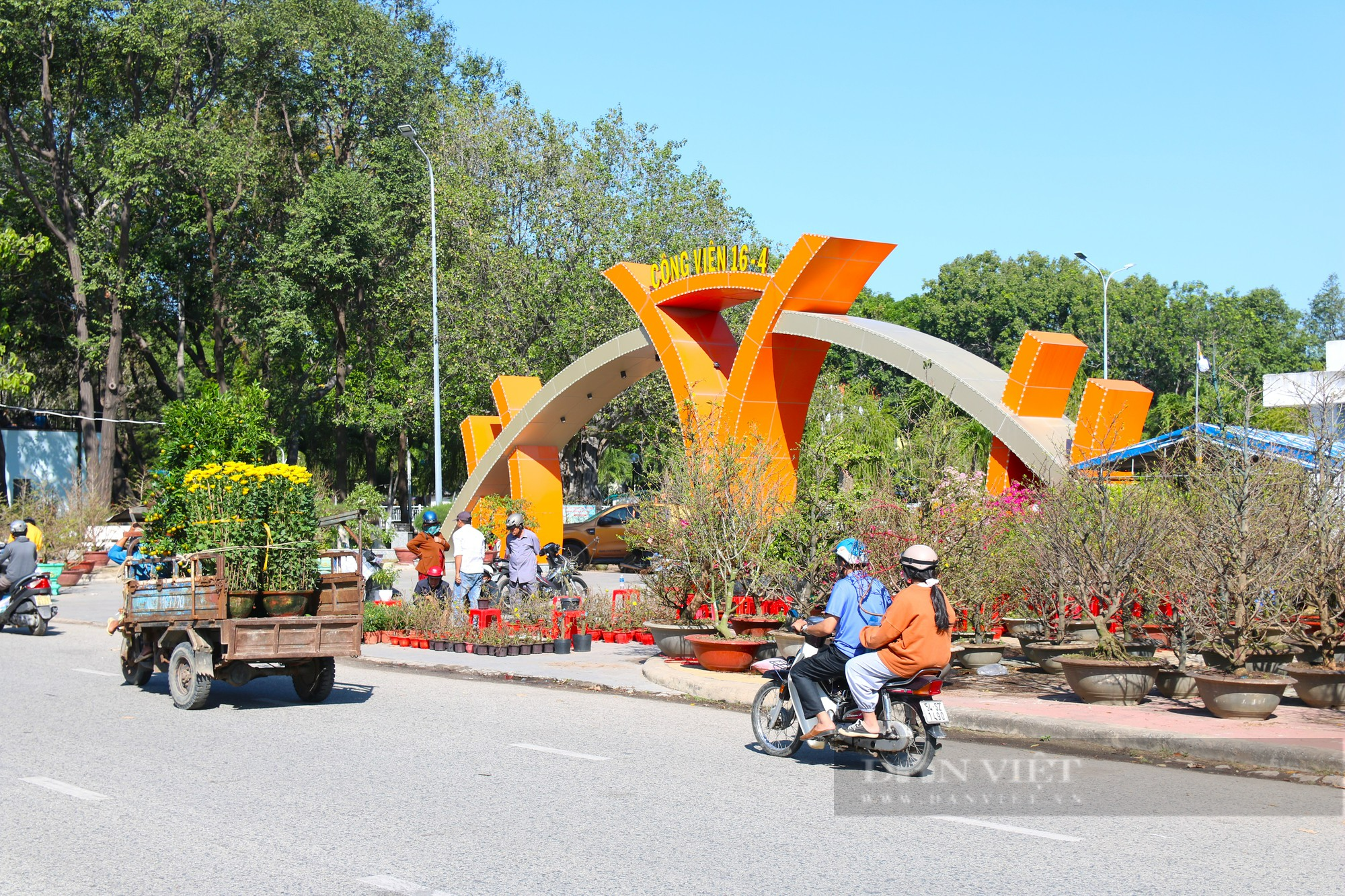 Hoa cảnh khắp các vùng miền “đổ bộ” về phố khoe sắc đón Tết ở Ninh Thuận - Ảnh 1.