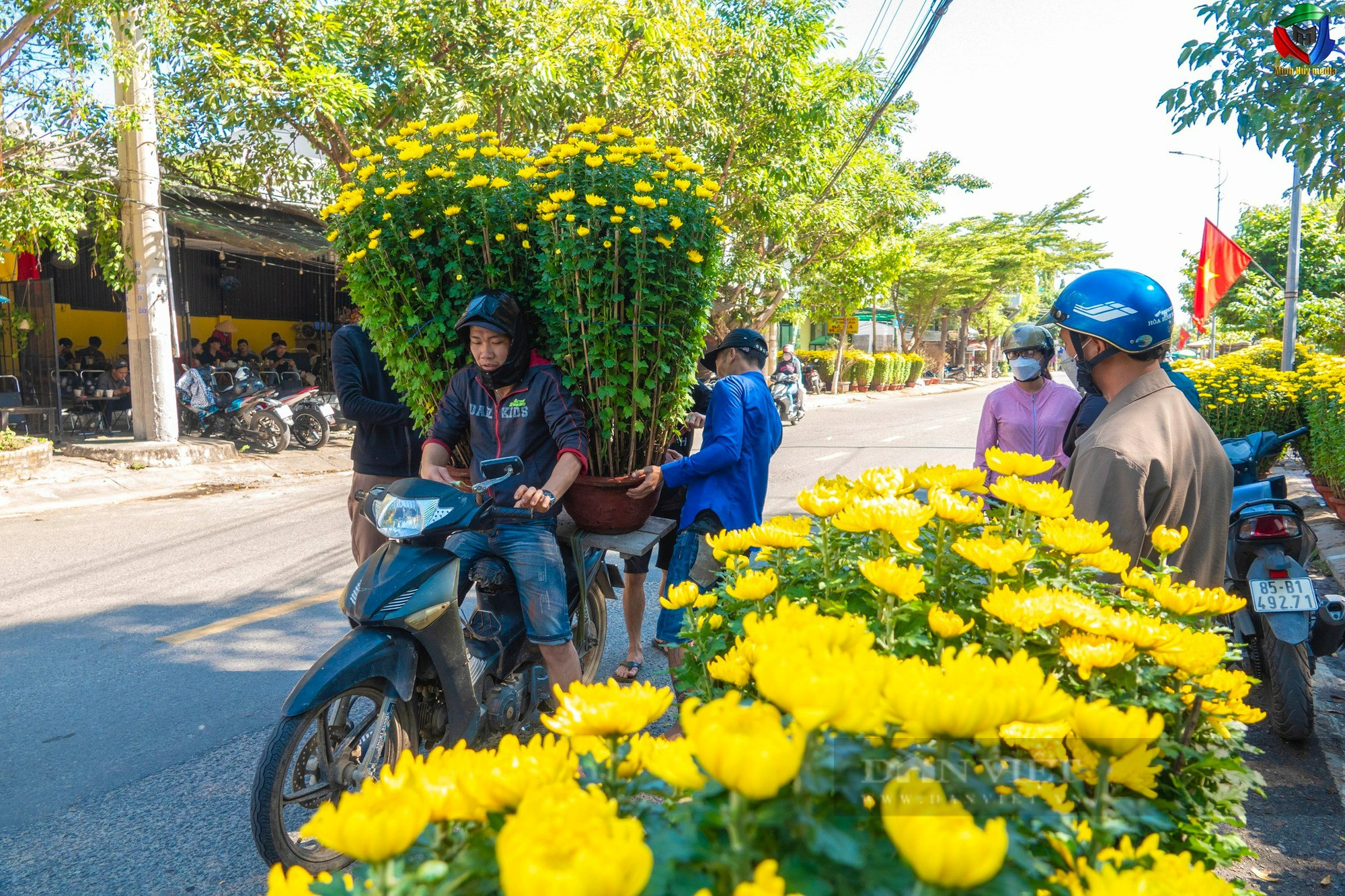 Hoa cảnh khắp các vùng miền “đổ bộ” về phố khoe sắc đón Tết ở Ninh Thuận - Ảnh 5.