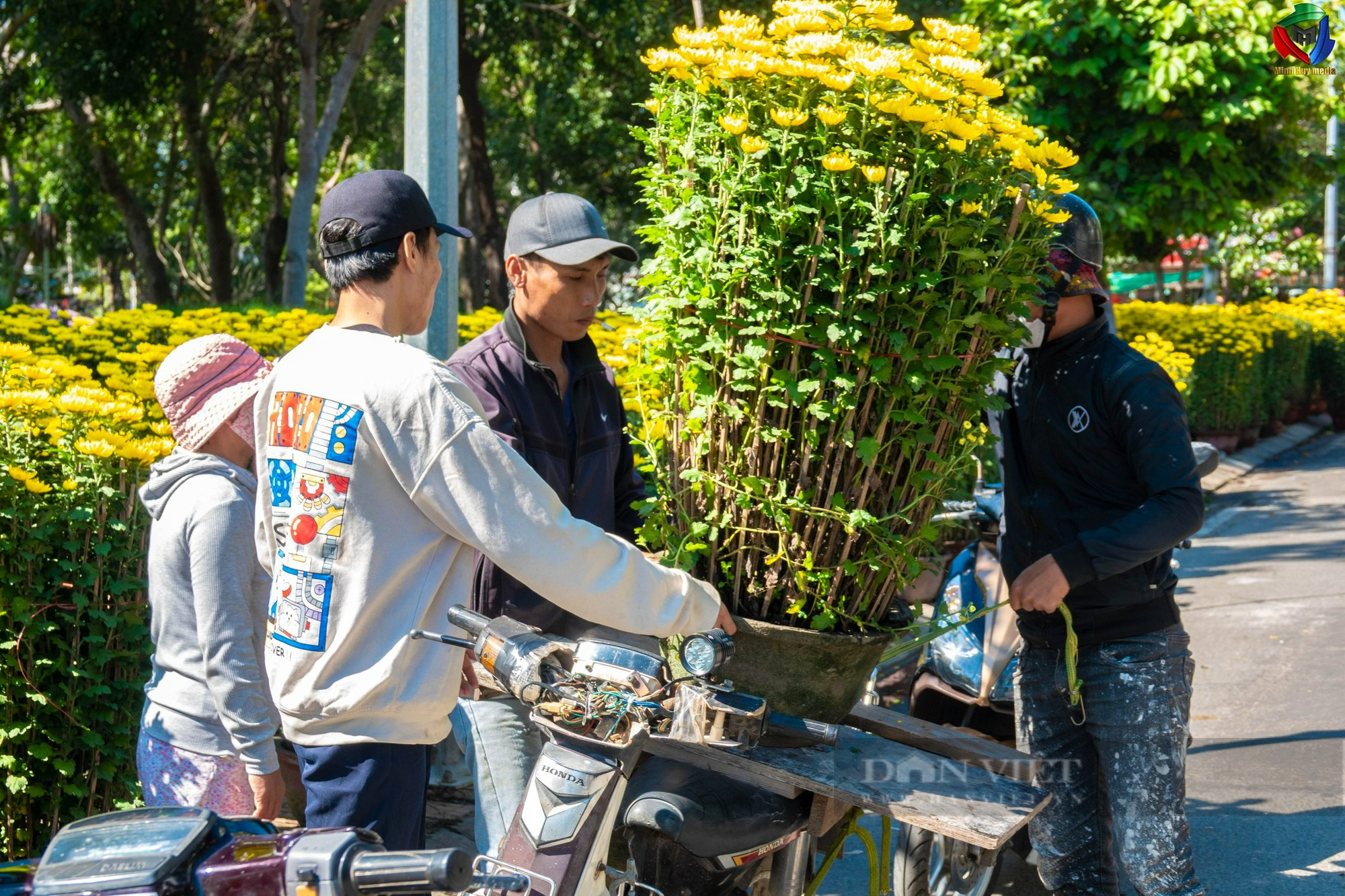 Hoa cảnh khắp các vùng miền “đổ bộ” về phố khoe sắc đón Tết ở Ninh Thuận - Ảnh 11.