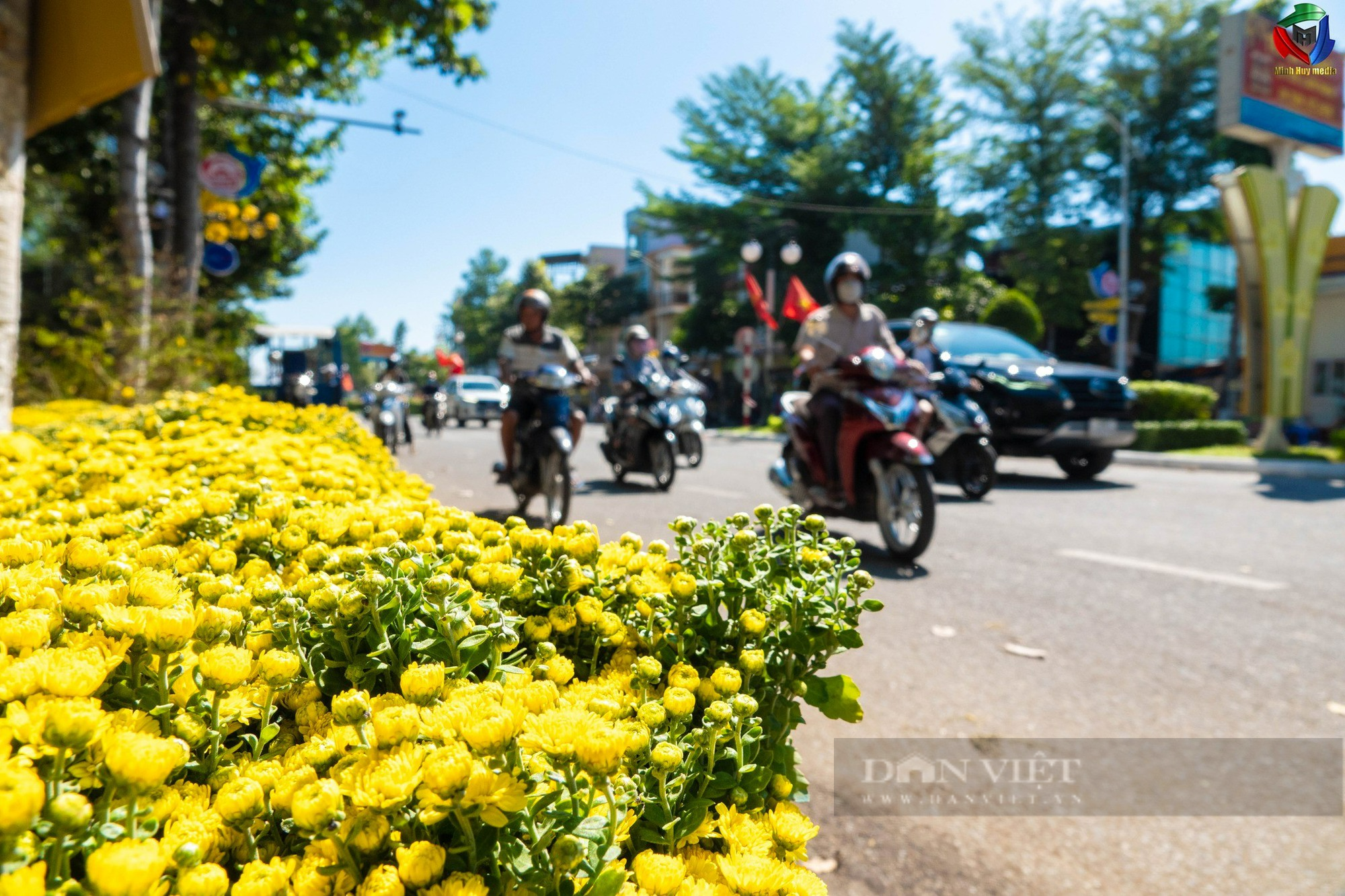 Hoa cảnh khắp các vùng miền “đổ bộ” về phố khoe sắc đón Tết ở Ninh Thuận - Ảnh 14.