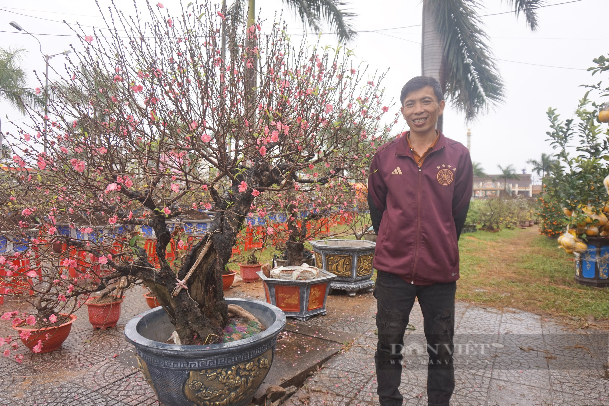 Ngắm cây quýt, bưởi cổ thụ độc nhất tại chợ hoa xuân Đà Nẵng 2023 - Ảnh 10.