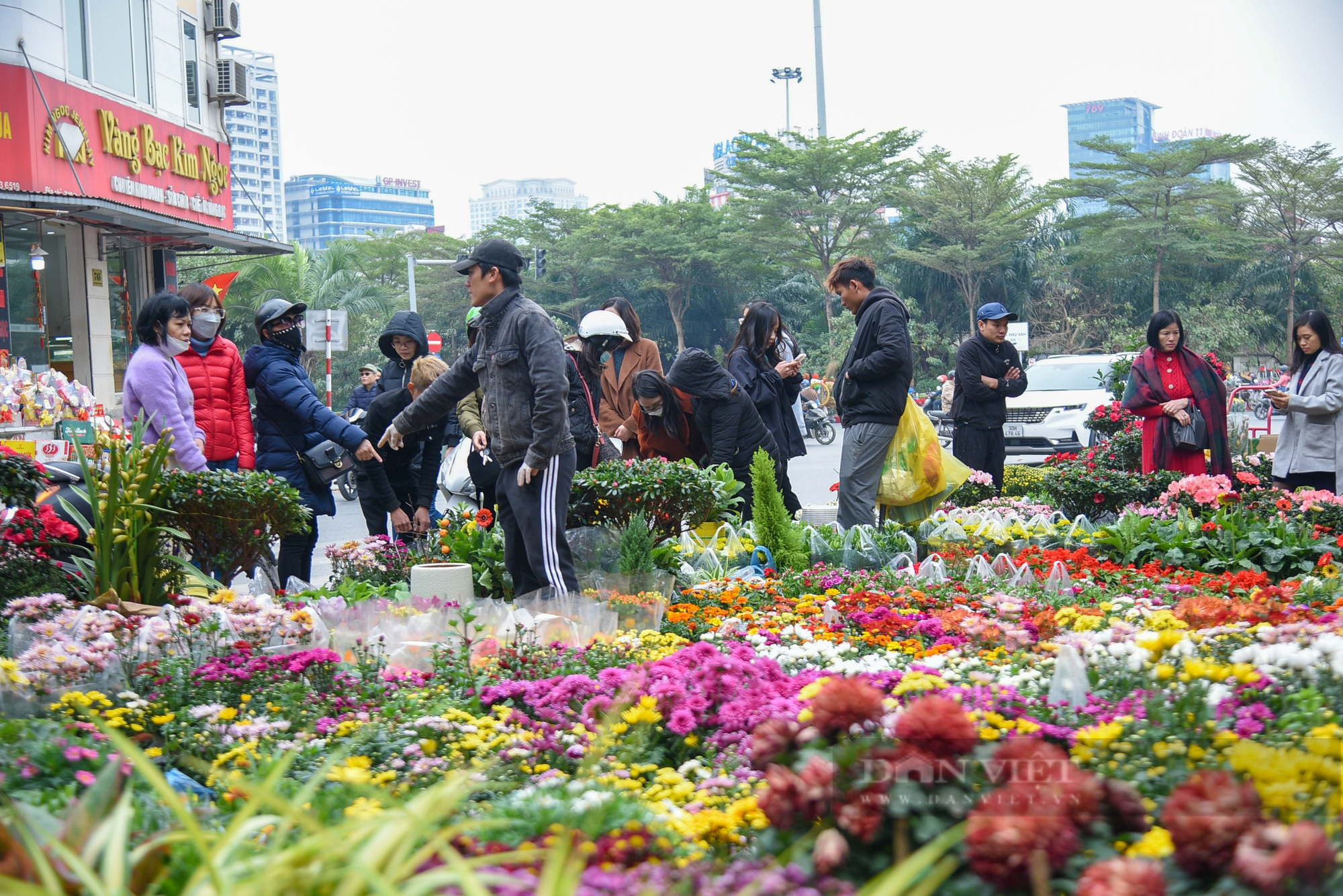 Chợ hoa phố Hoàng Hoa Thám rực rỡ ngày cận Tết Quý Mão 2023 - Ảnh 2.