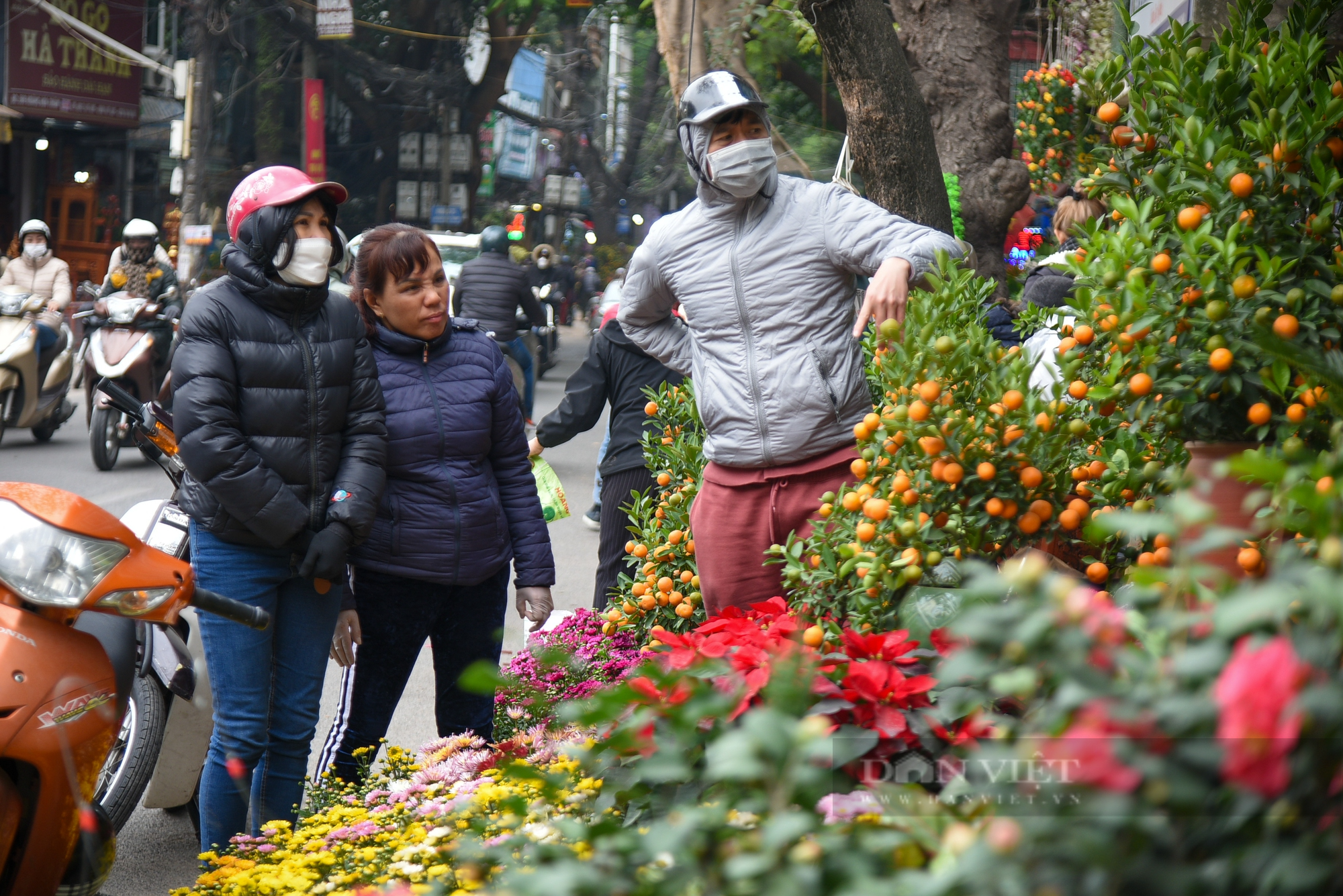 Chợ hoa phố Hoàng Hoa Thám rực rỡ ngày cận Tết Quý Mão 2023 - Ảnh 3.