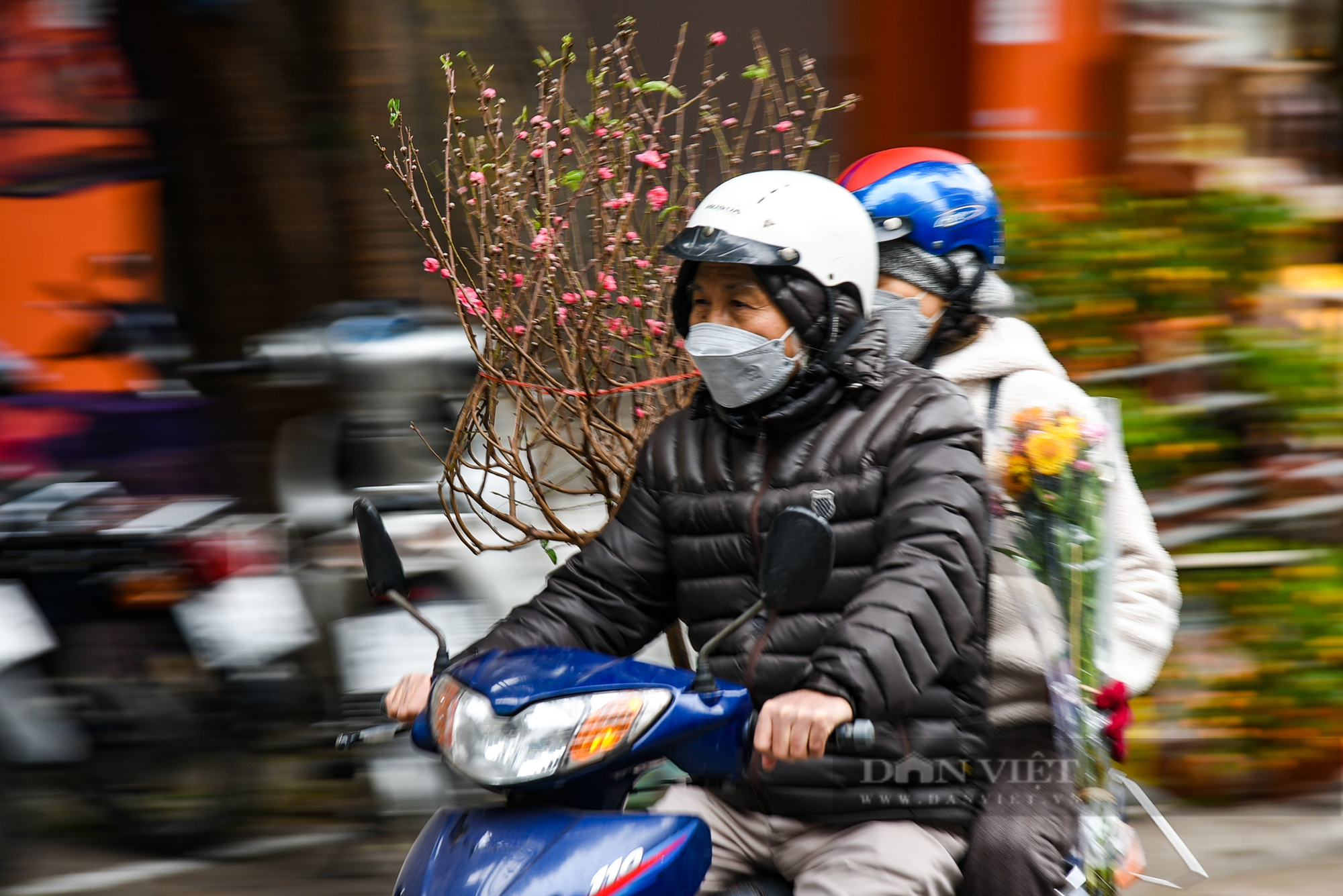 Chợ hoa phố Hoàng Hoa Thám rực rỡ ngày cận Tết Quý Mão 2023 - Ảnh 5.