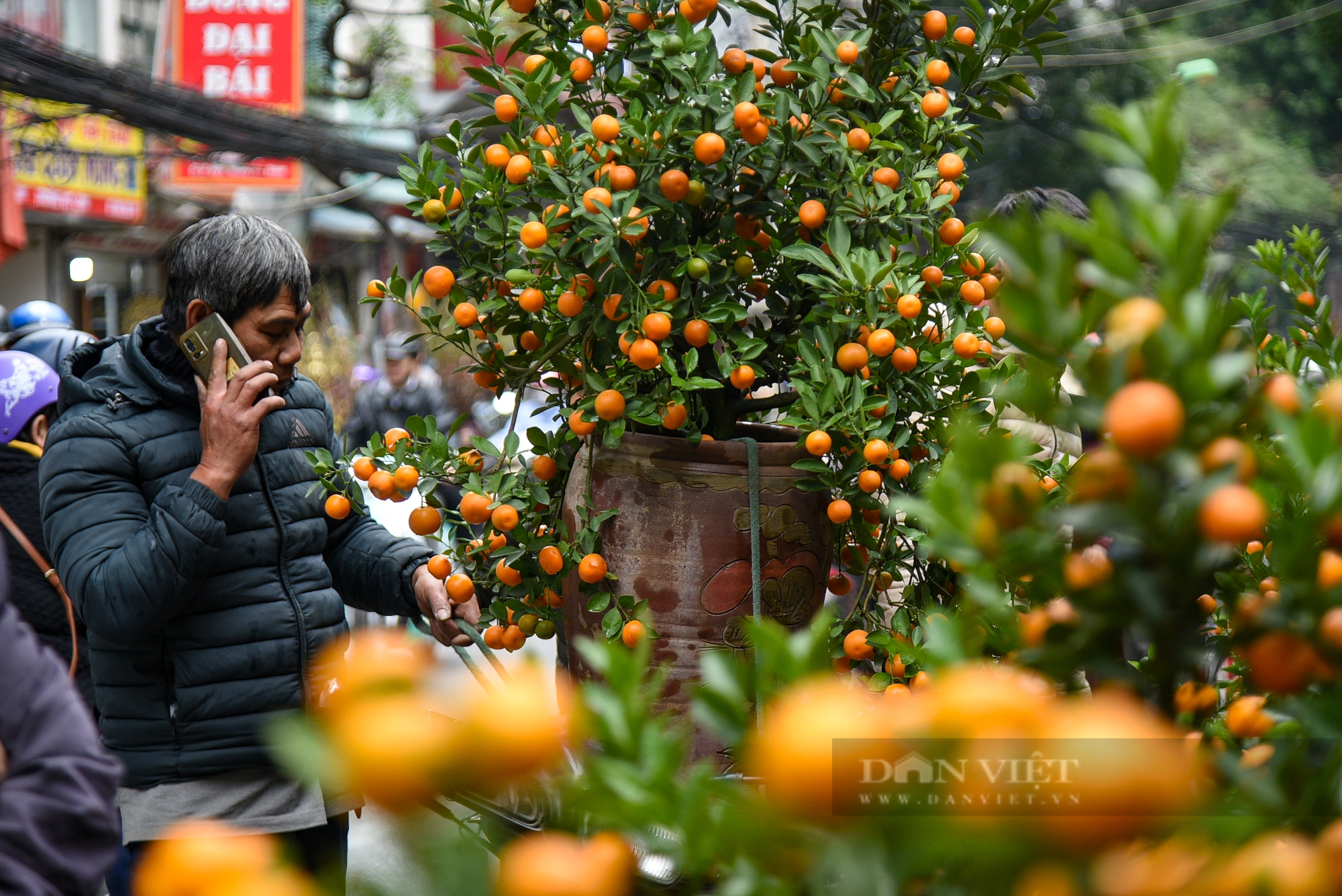 Chợ hoa phố Hoàng Hoa Thám rực rỡ ngày cận Tết Quý Mão 2023 - Ảnh 6.