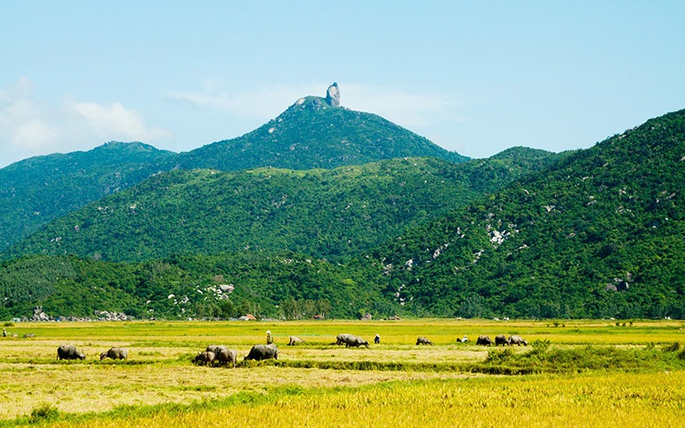 Đèo Cả ở Phú Yên phải vượt qua dãy núi nào để vào Khánh Hòa?