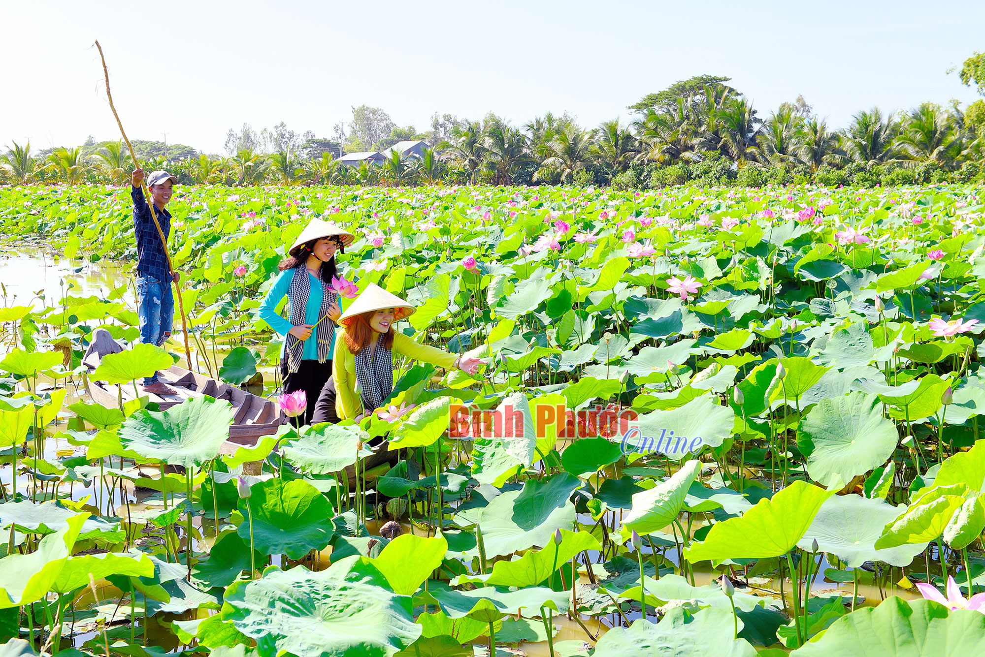 Nông nghiệp Đồng Tháp thu hút khách vui xuân, đón tết bằng các mô hình trồng trọt, chăn nuôi - Ảnh 4.