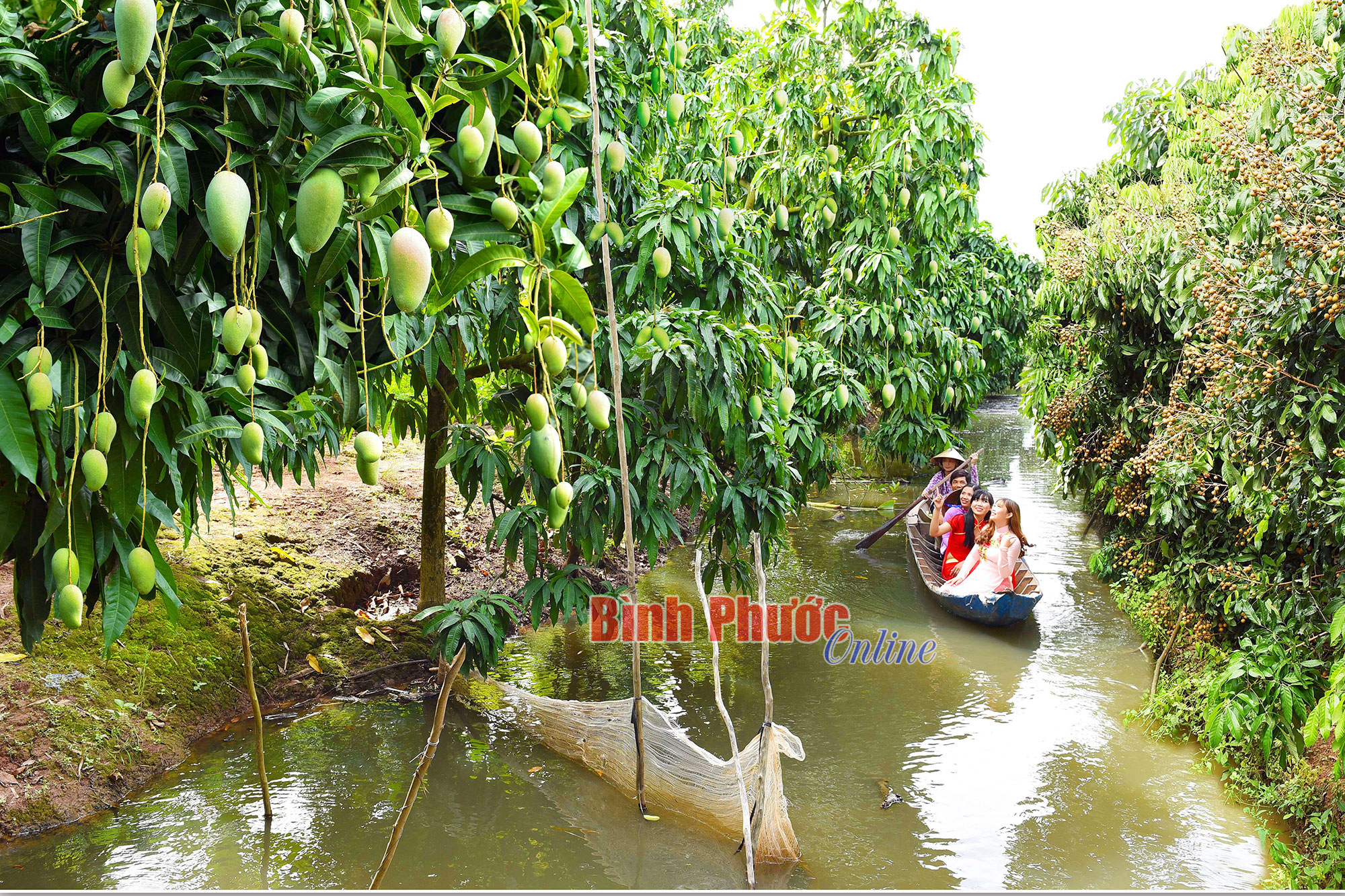 Nông nghiệp Đồng Tháp thu hút khách vui xuân, đón tết bằng các mô hình trồng trọt, chăn nuôi - Ảnh 8.