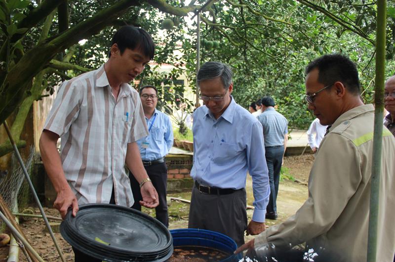 Đường nông thôn mới trồng hoa, có cả hoa treo rực rỡ ở Đồng Nai, ai qua cũng ngắm nhìn - Ảnh 2.