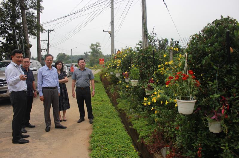 Đường nông thôn mới trồng hoa, có cả hoa treo rực rỡ ở Đồng Nai, ai qua cũng ngắm nhìn - Ảnh 1.