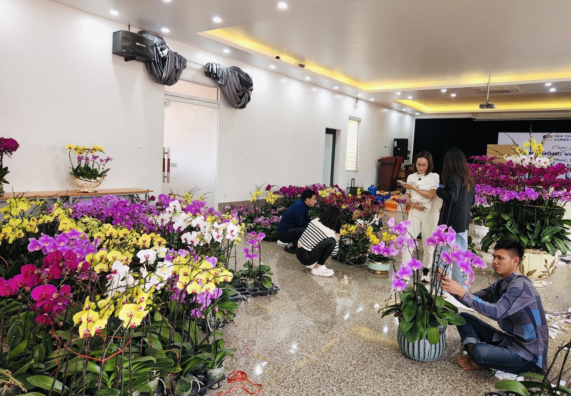 Chỉ ngồi cắm hoa mà ra hàng chục triệu tiền Tết ở Vĩnh Phúc - Ảnh 1.