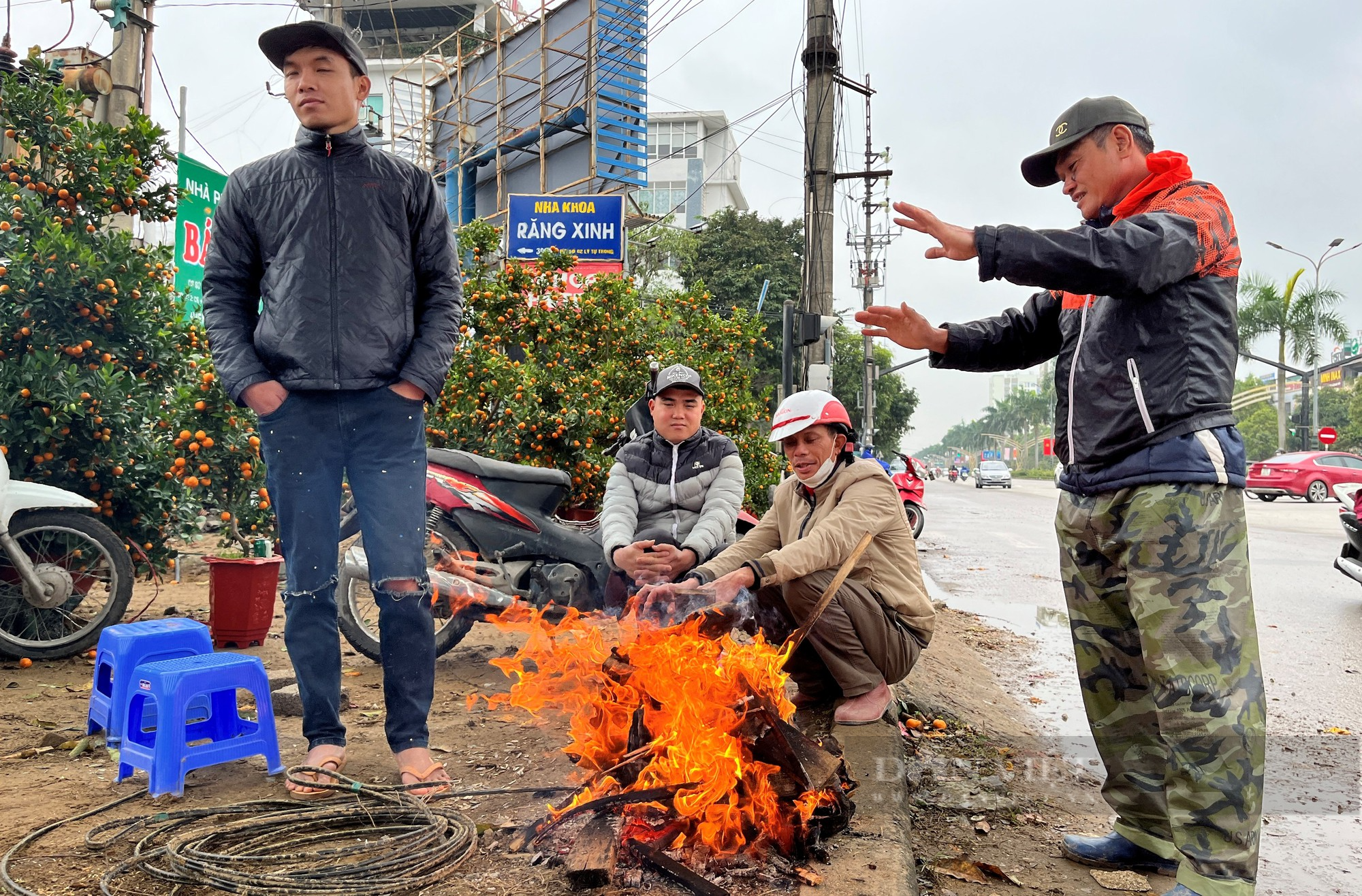 Co ro trong mưa lạnh đến thấu xương, ra tận lề đường đợi khách tới mua đào, quất những ngày cận Tết - Ảnh 6.