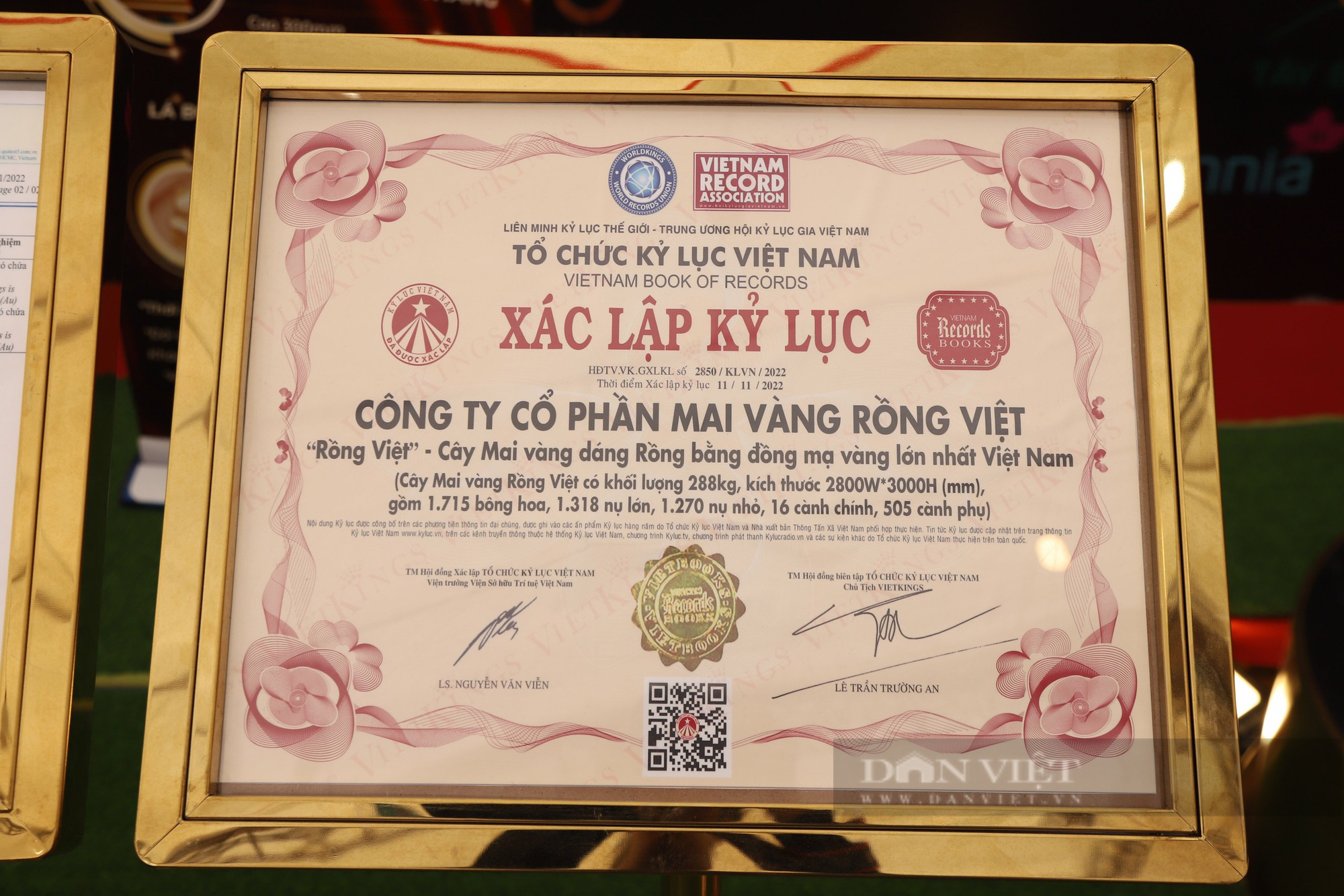 Ngắm cây mai mạ vàng 24K &quot;cực độc&quot; ở Thủ đô Hà Nội - Ảnh 6.