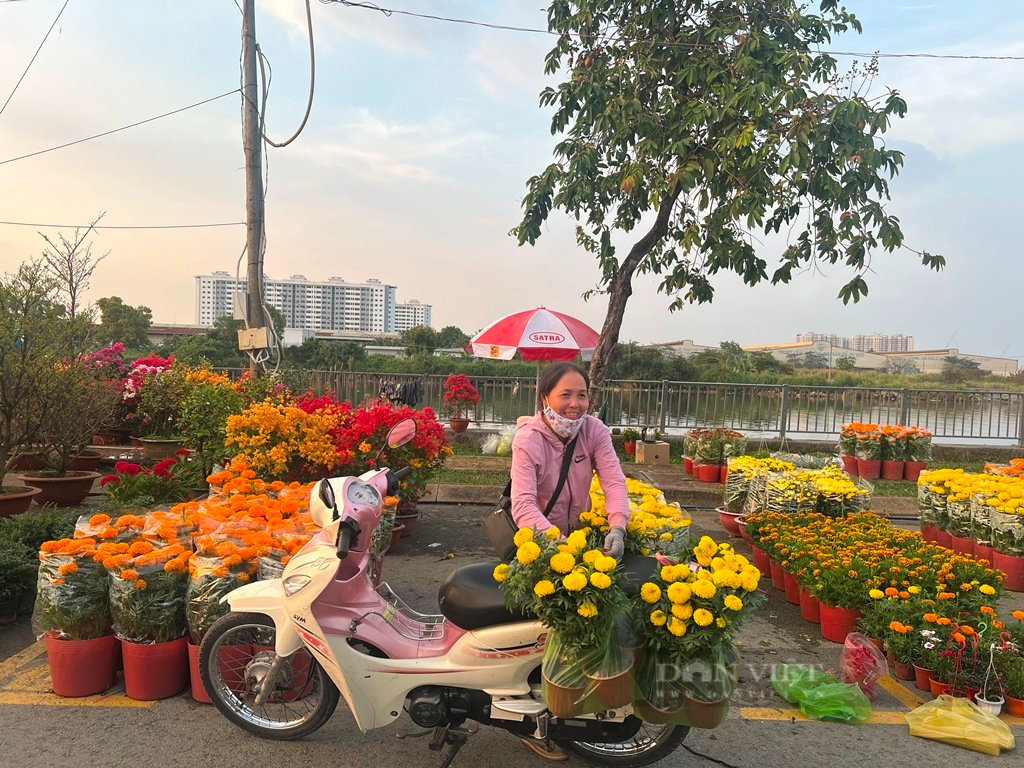 Có một chợ hoa Tết Sài Gòn: Người mua cười hết cỡ vì giá siêu rẻ, người bán không phải lo tiền thuê sạp - Ảnh 4.